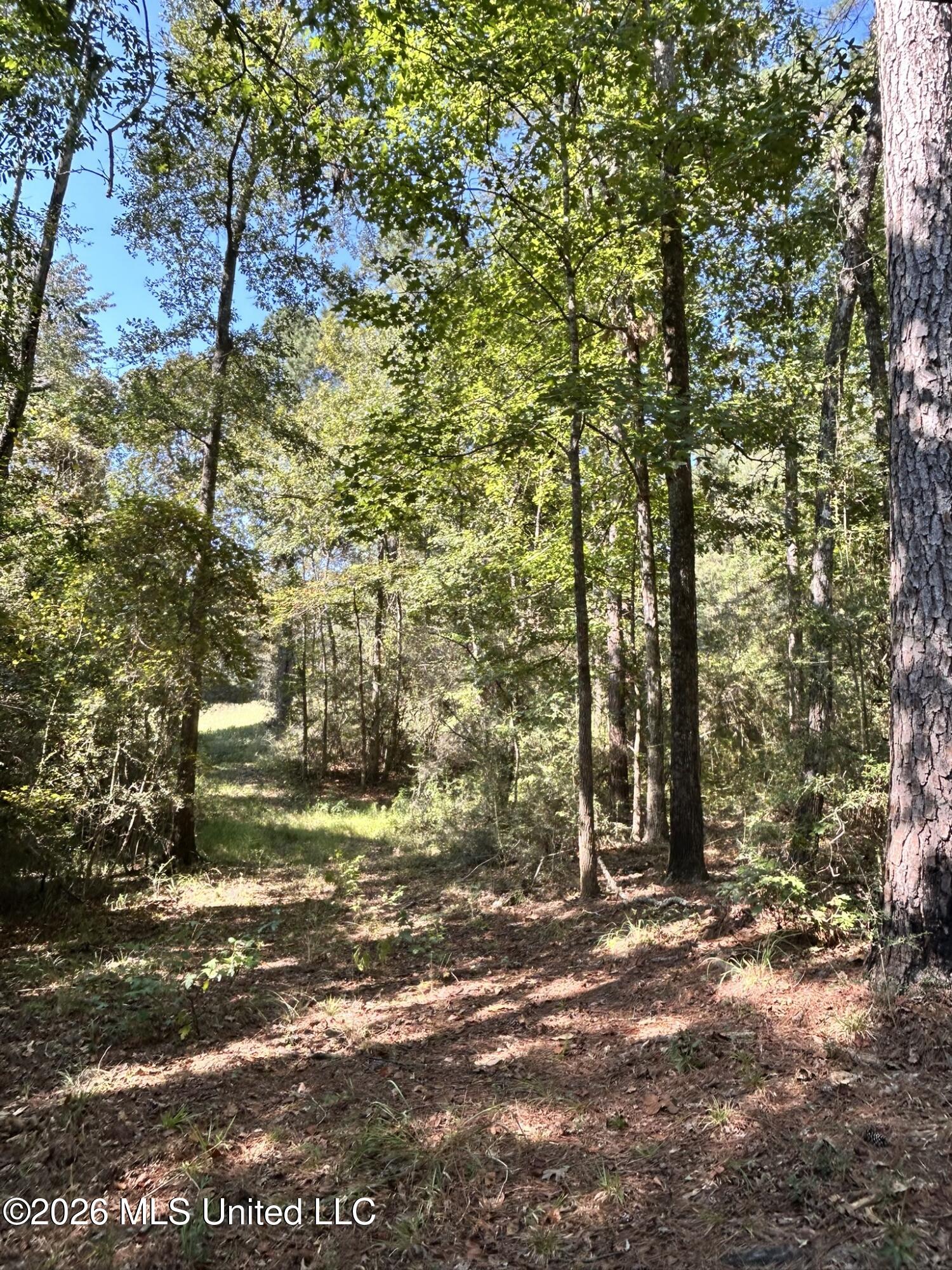Dickey Mills Road Property Photo 23