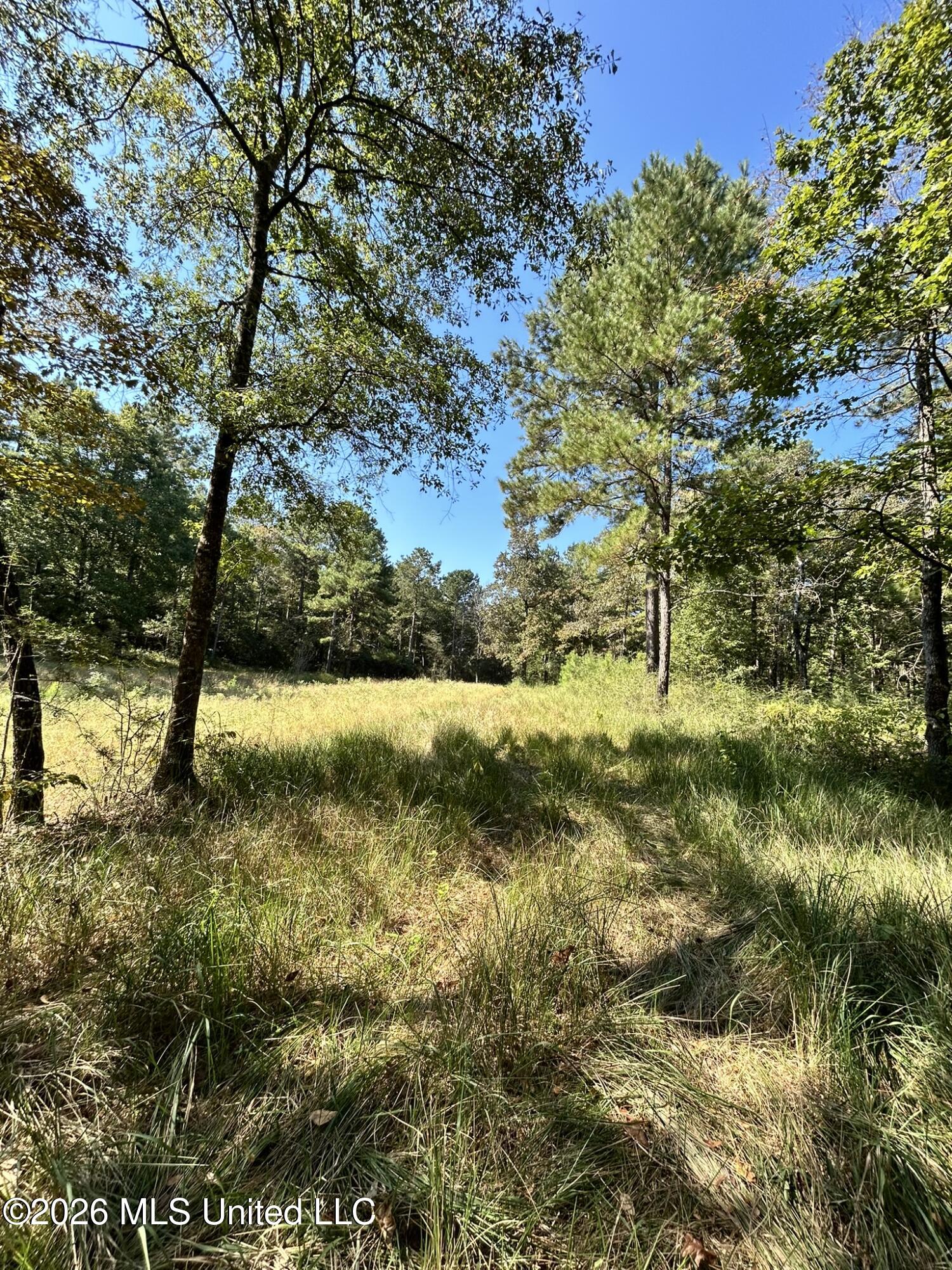 Dickey Mills Road Property Photo 25