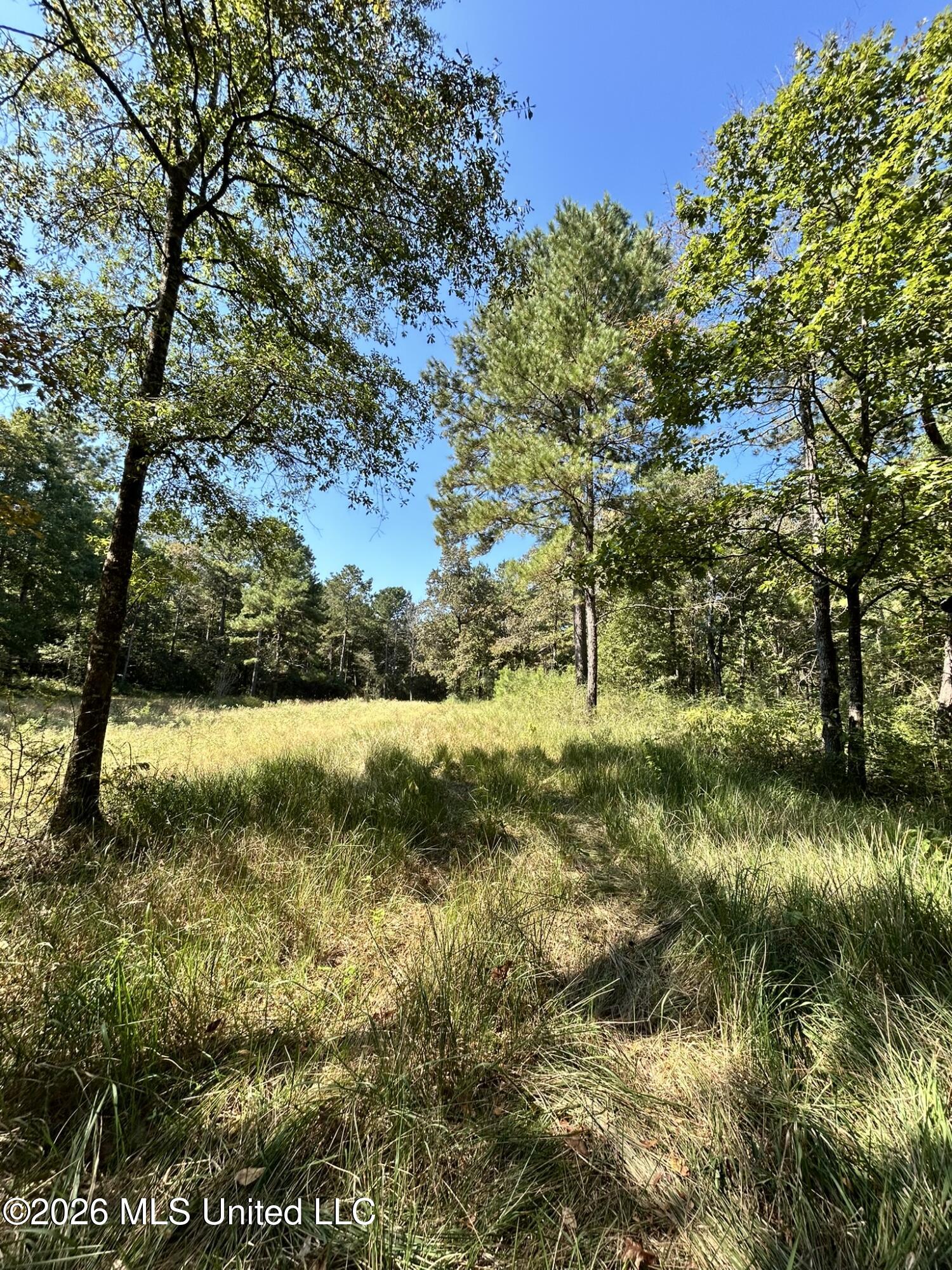 Dickey Mills Road Property Photo 26