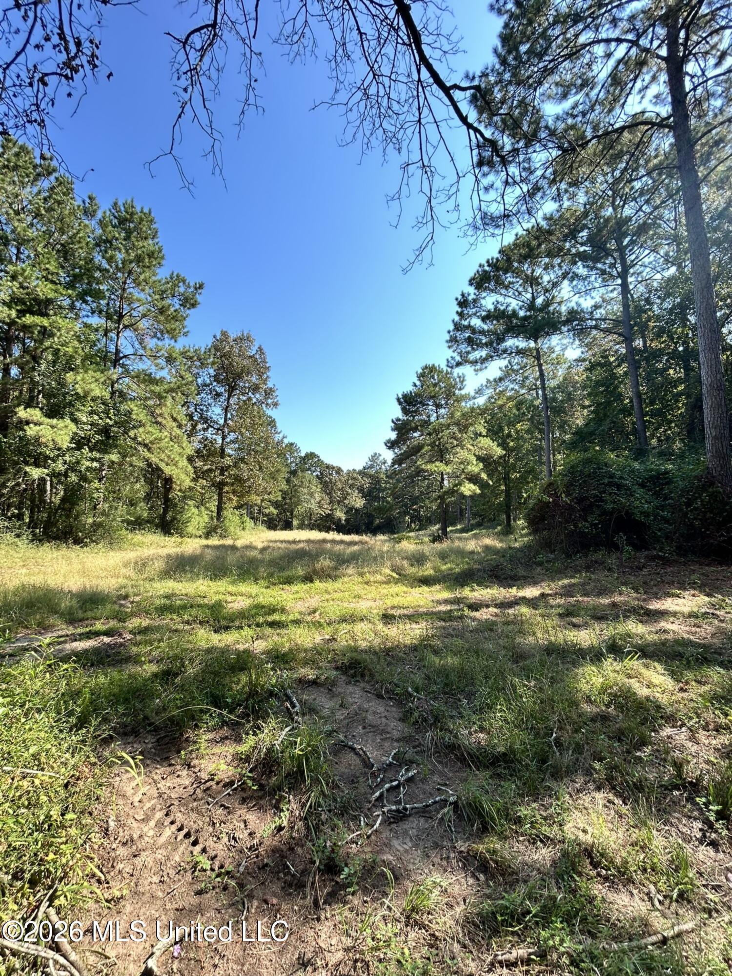 Dickey Mills Road Property Photo 27