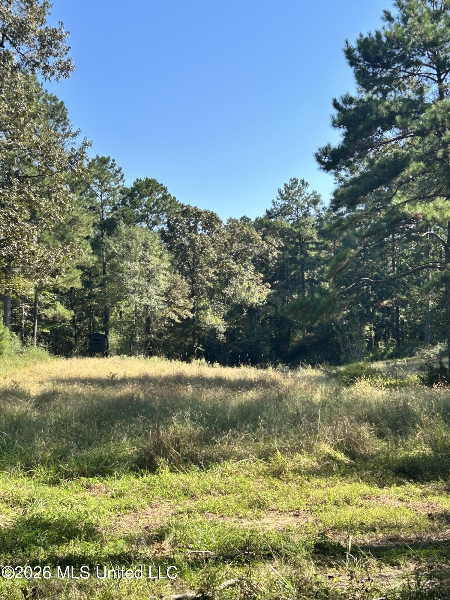 Dickey Mills Road Property Photo 28