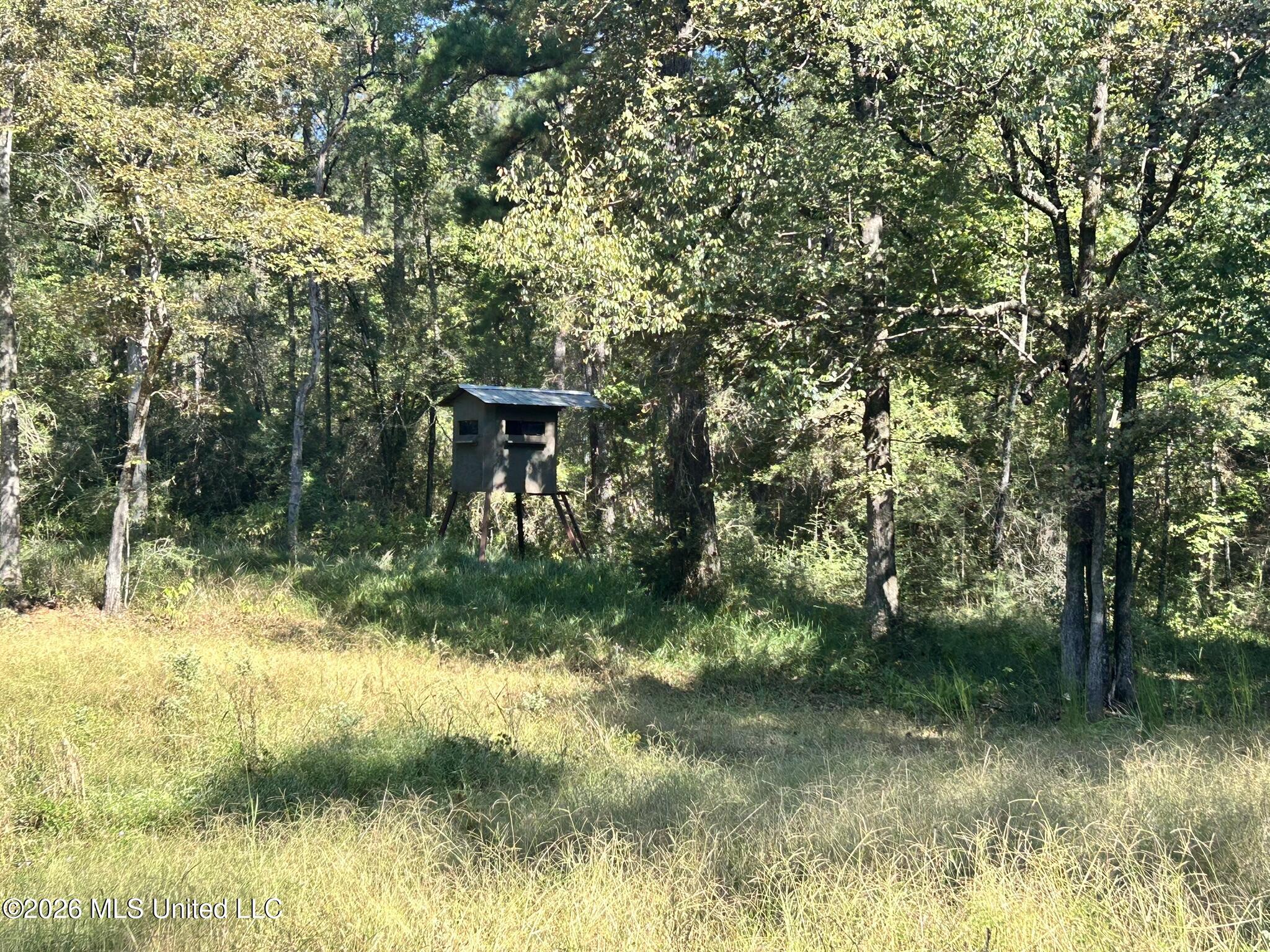 Dickey Mills Road Property Photo 29