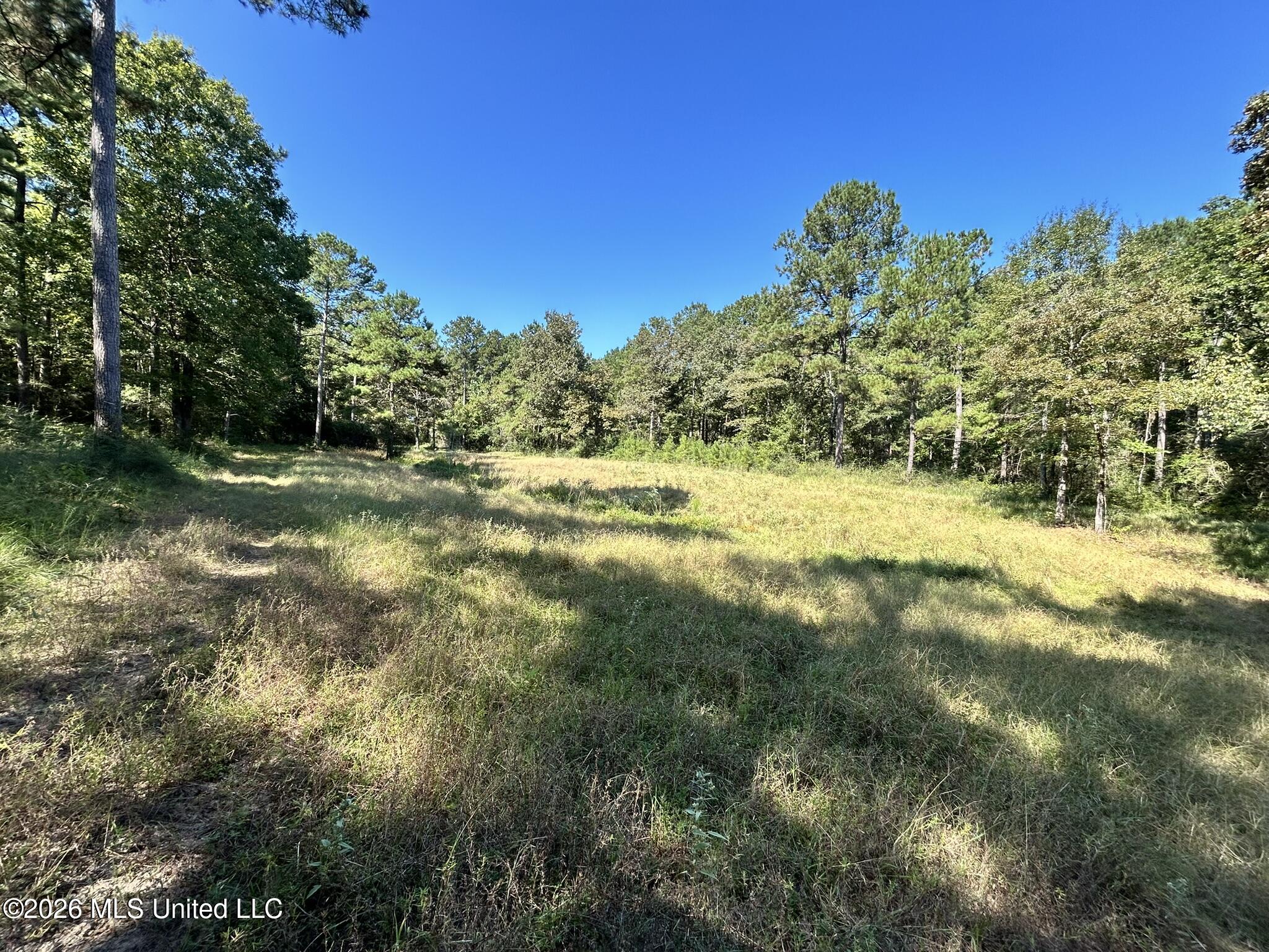 Dickey Mills Road Property Photo 30