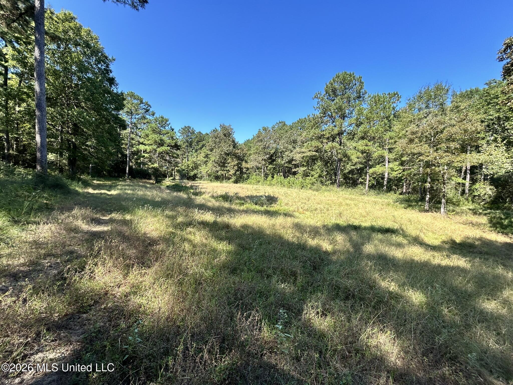 Dickey Mills Road Property Photo 31