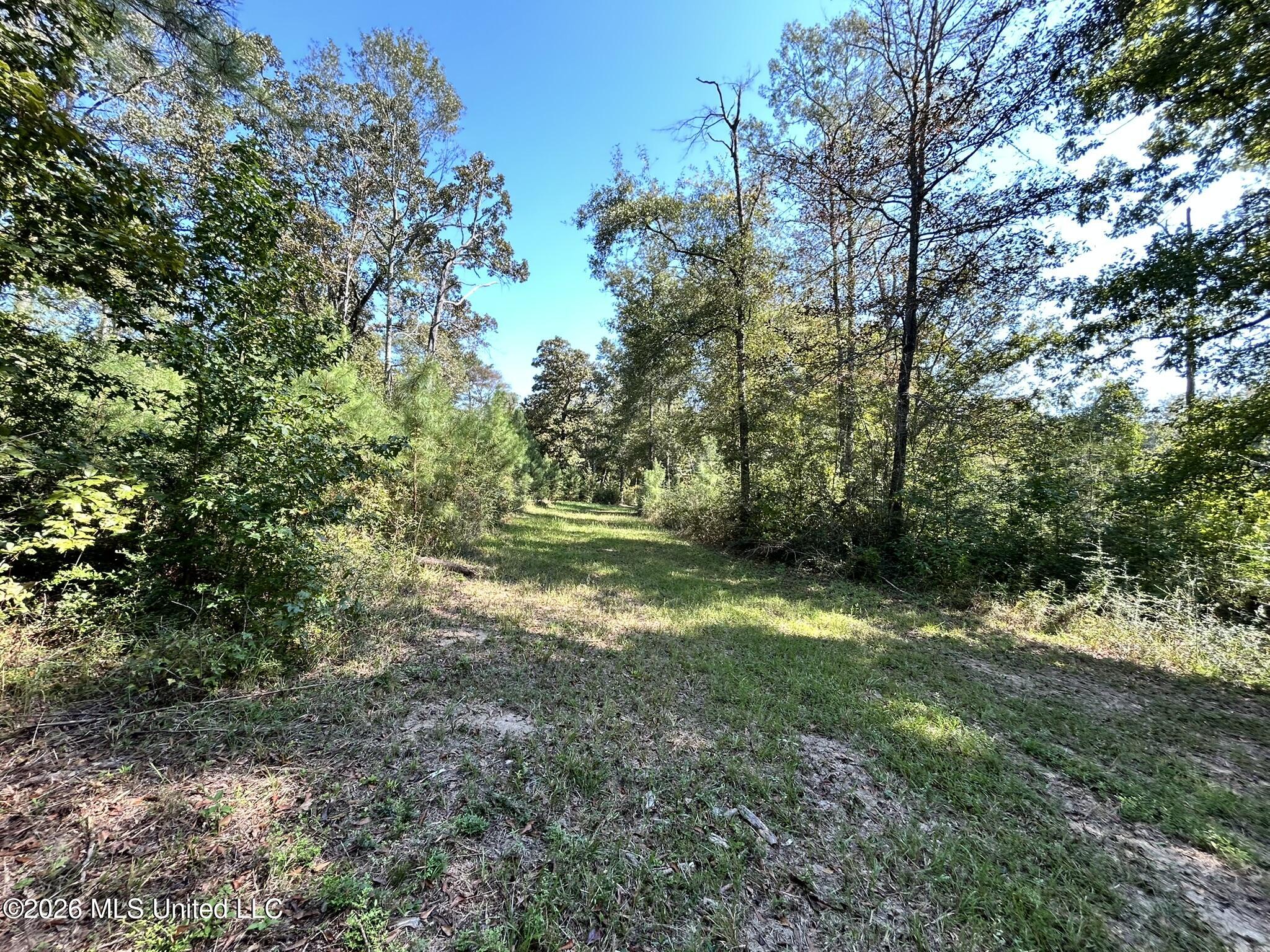 Dickey Mills Road Property Photo 32