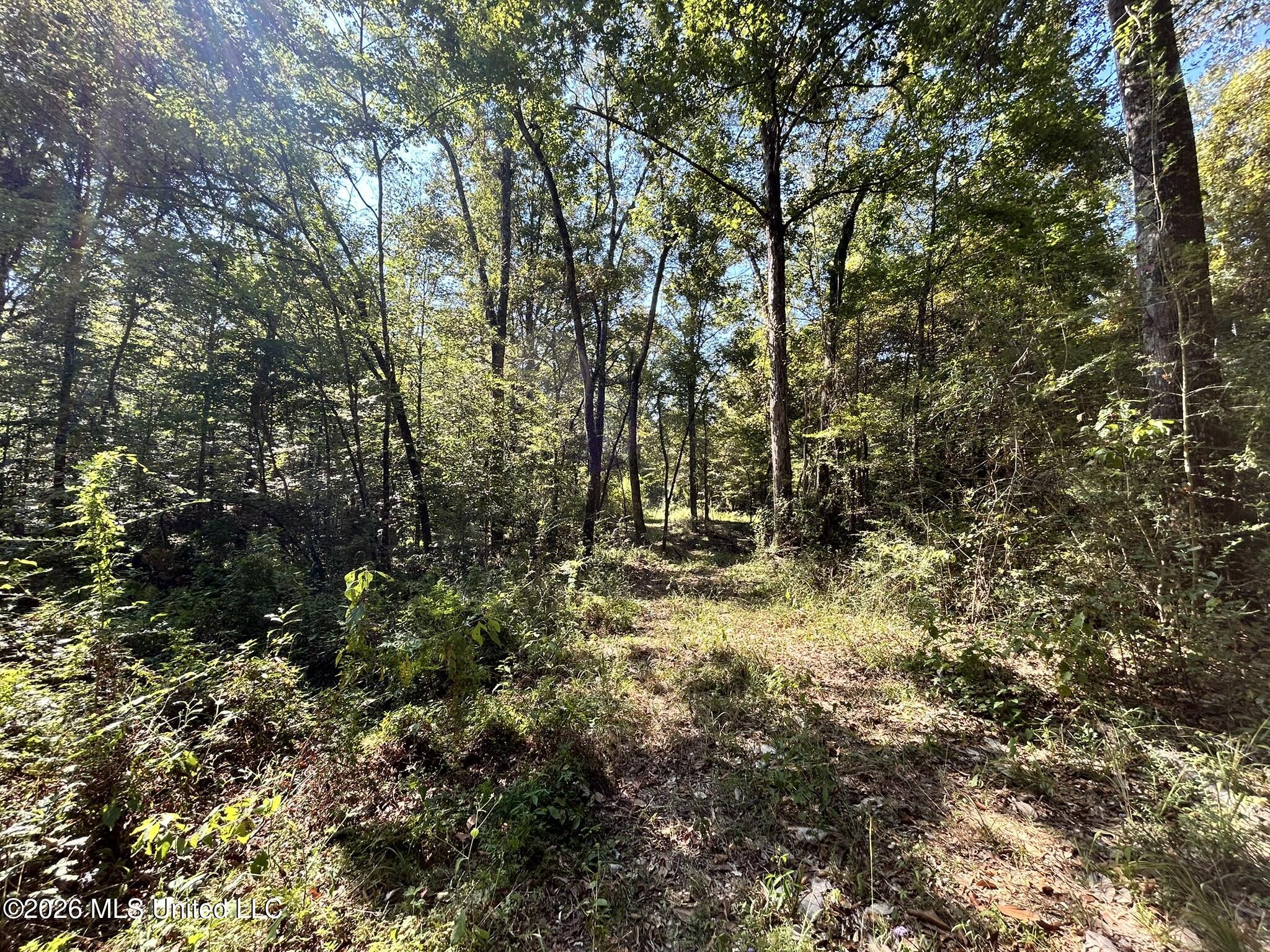Dickey Mills Road Property Photo 33