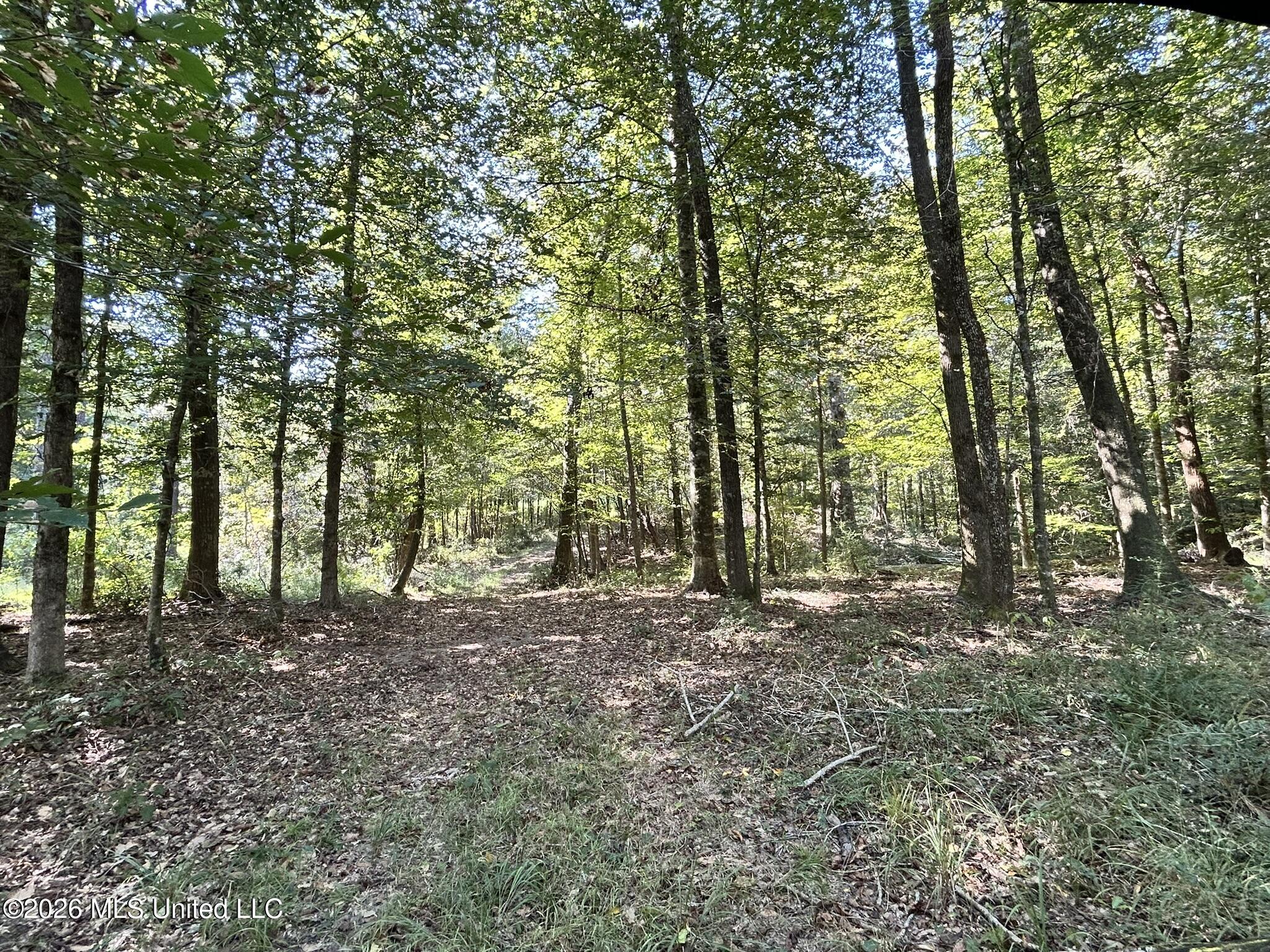 Dickey Mills Road Property Photo 34
