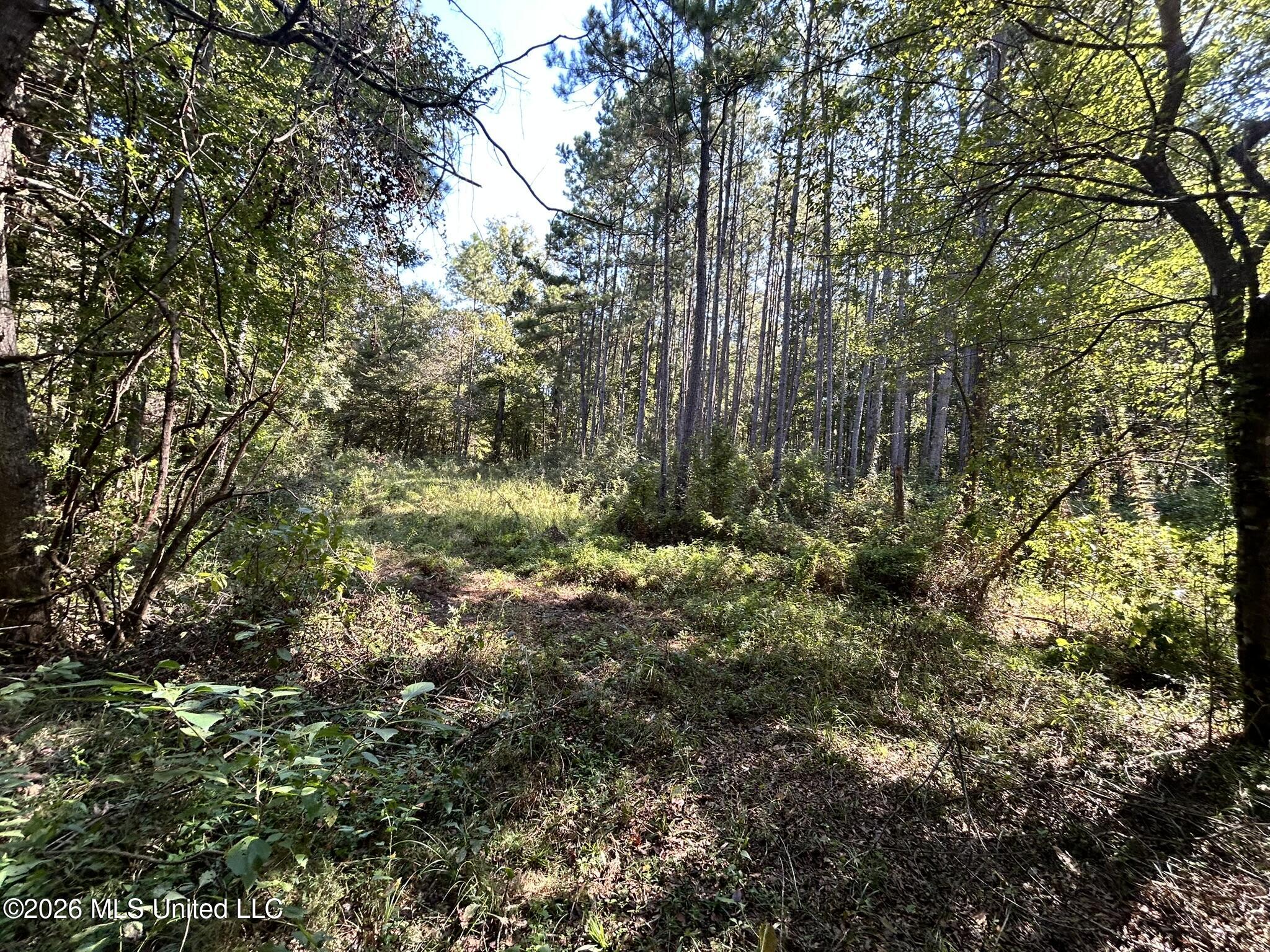 Dickey Mills Road Property Photo 35