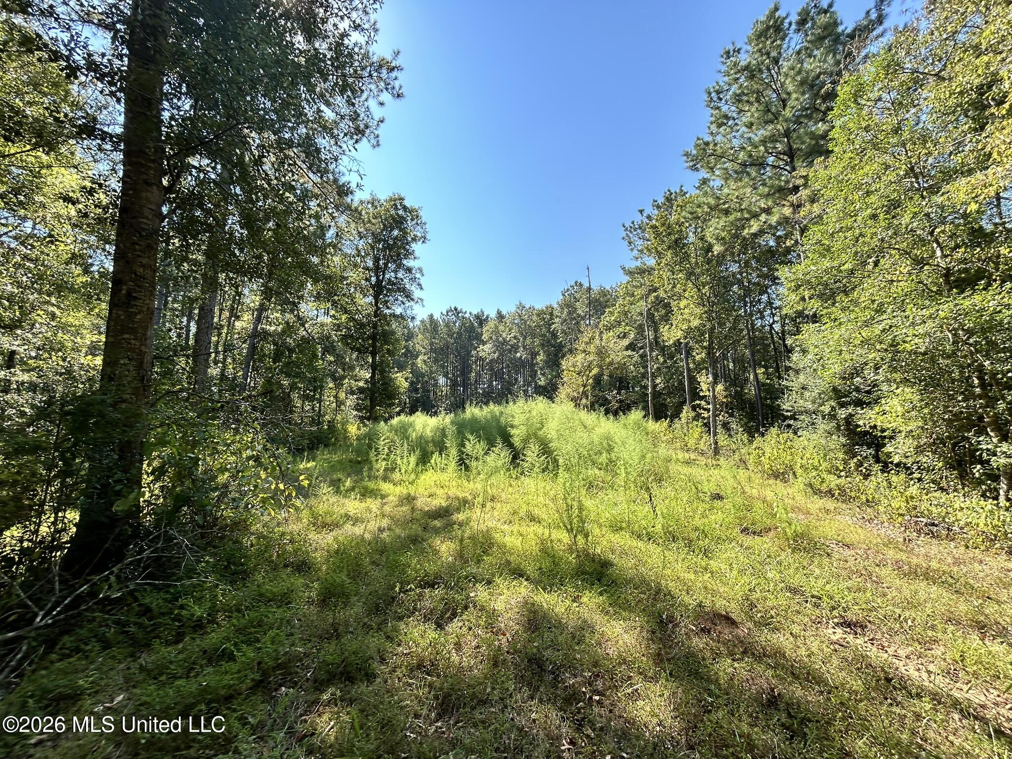 Dickey Mills Road Property Photo 36
