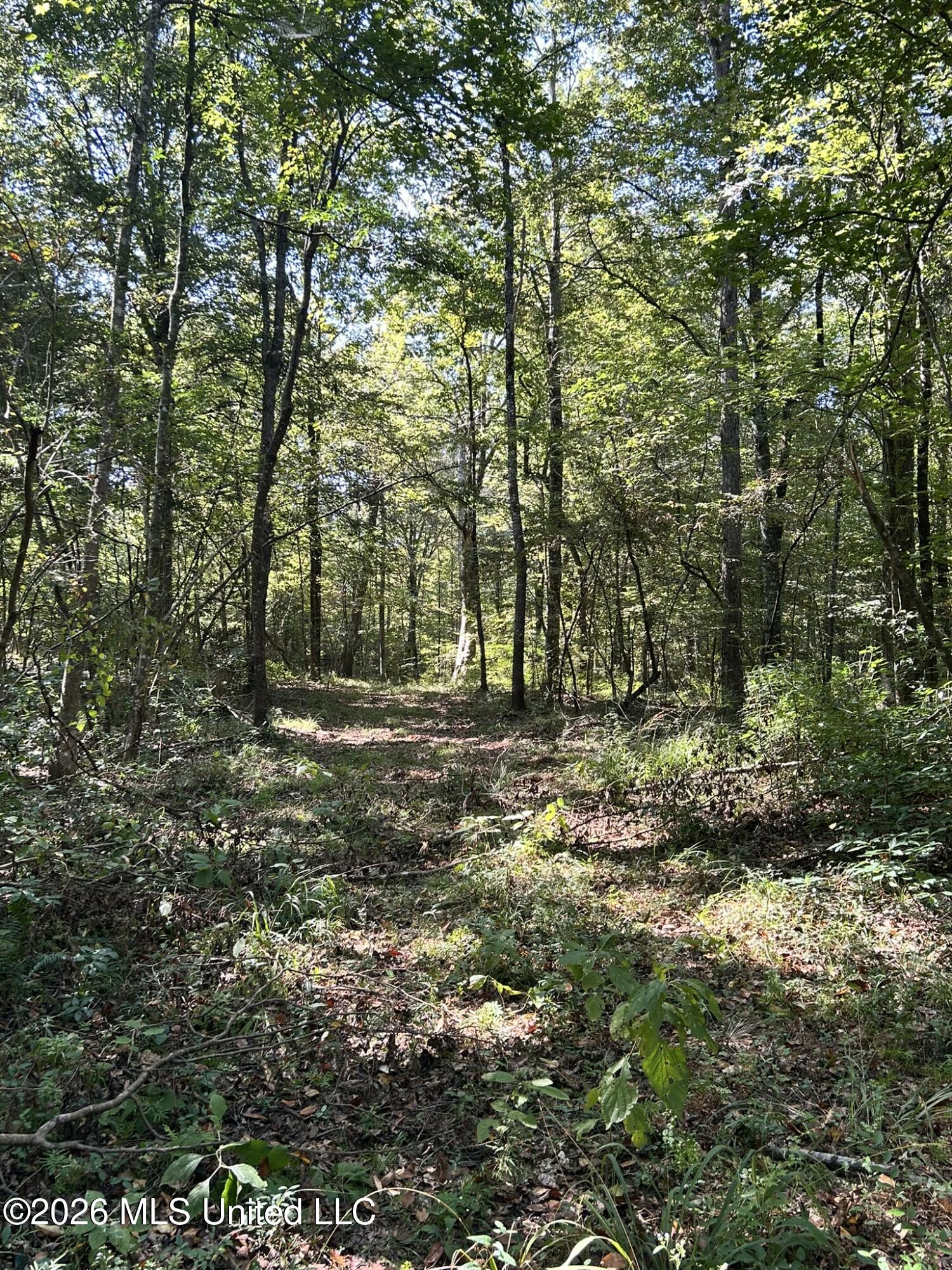 Dickey Mills Road Property Photo 37