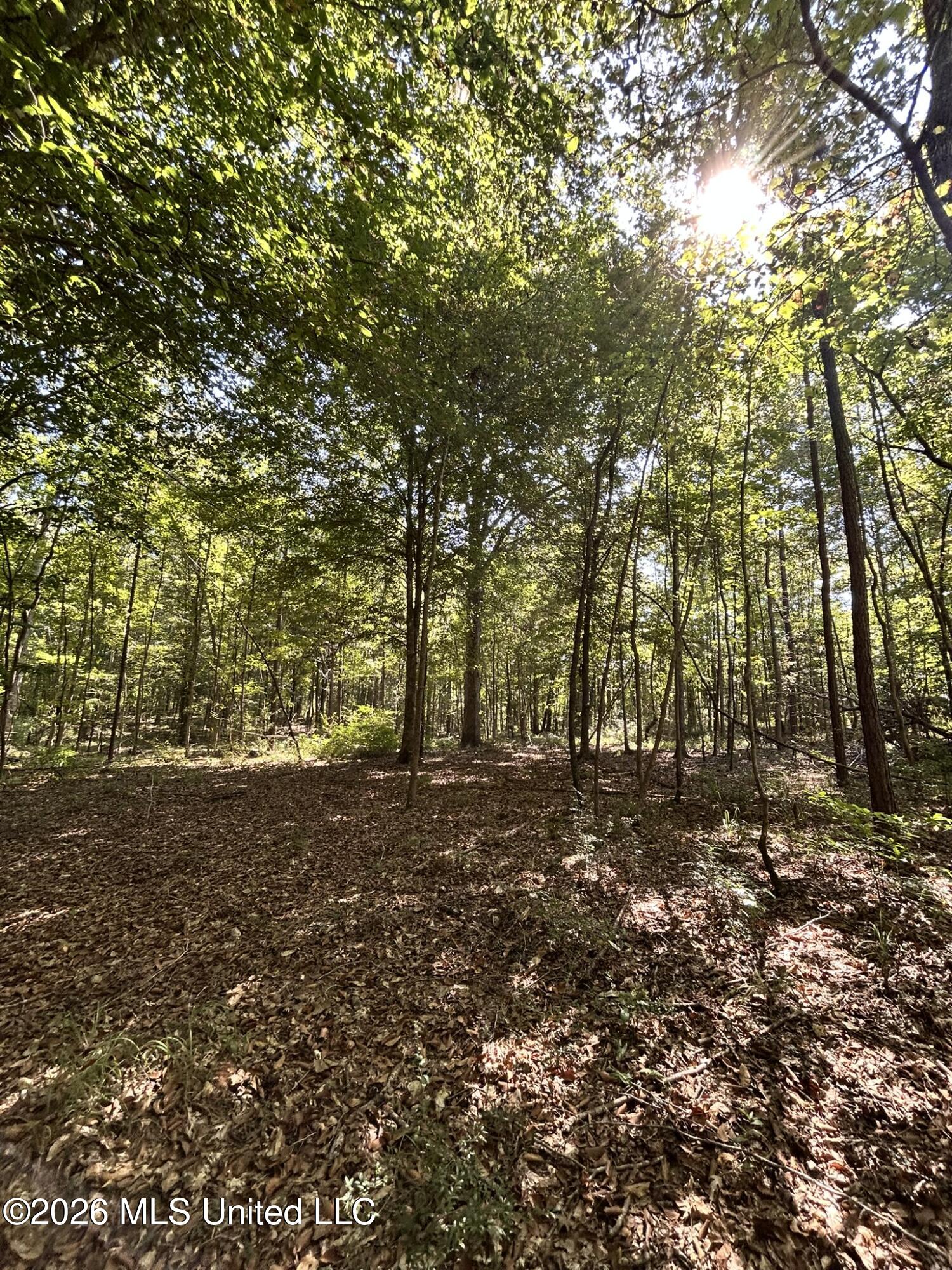 Dickey Mills Road Property Photo 38