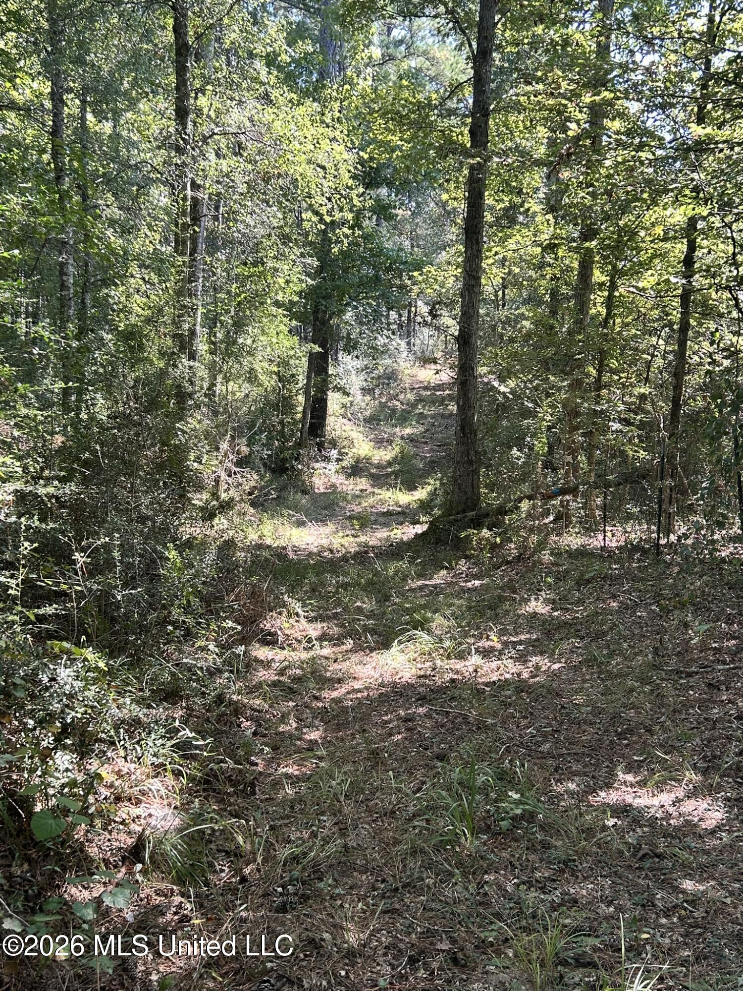 Dickey Mills Road Property Photo 39