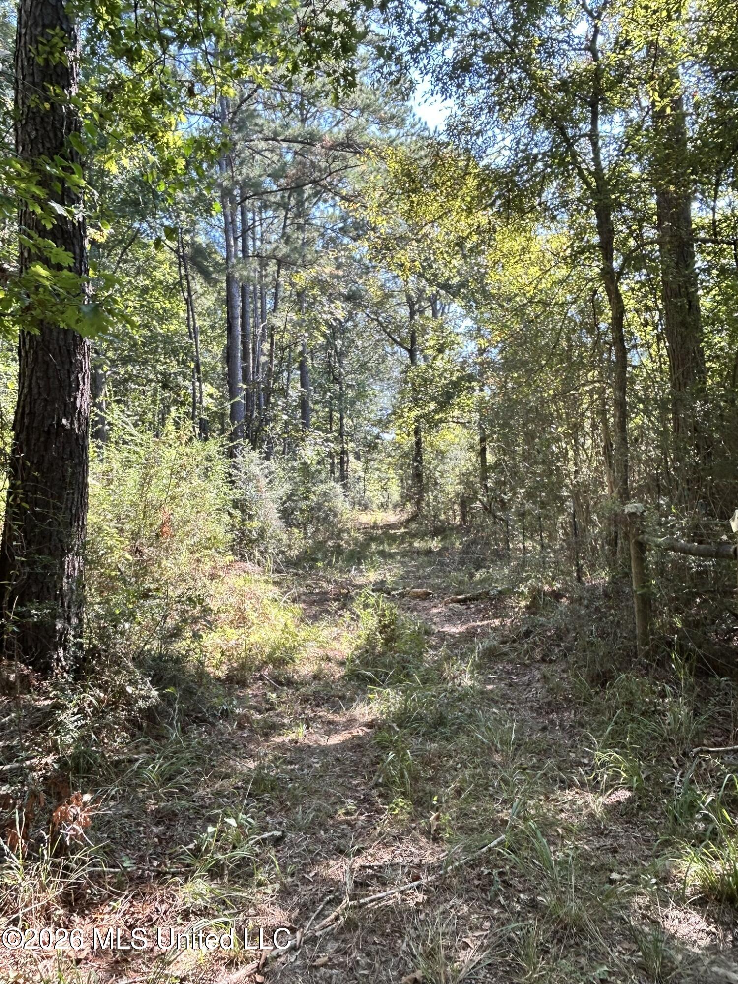 Dickey Mills Road Property Photo 40
