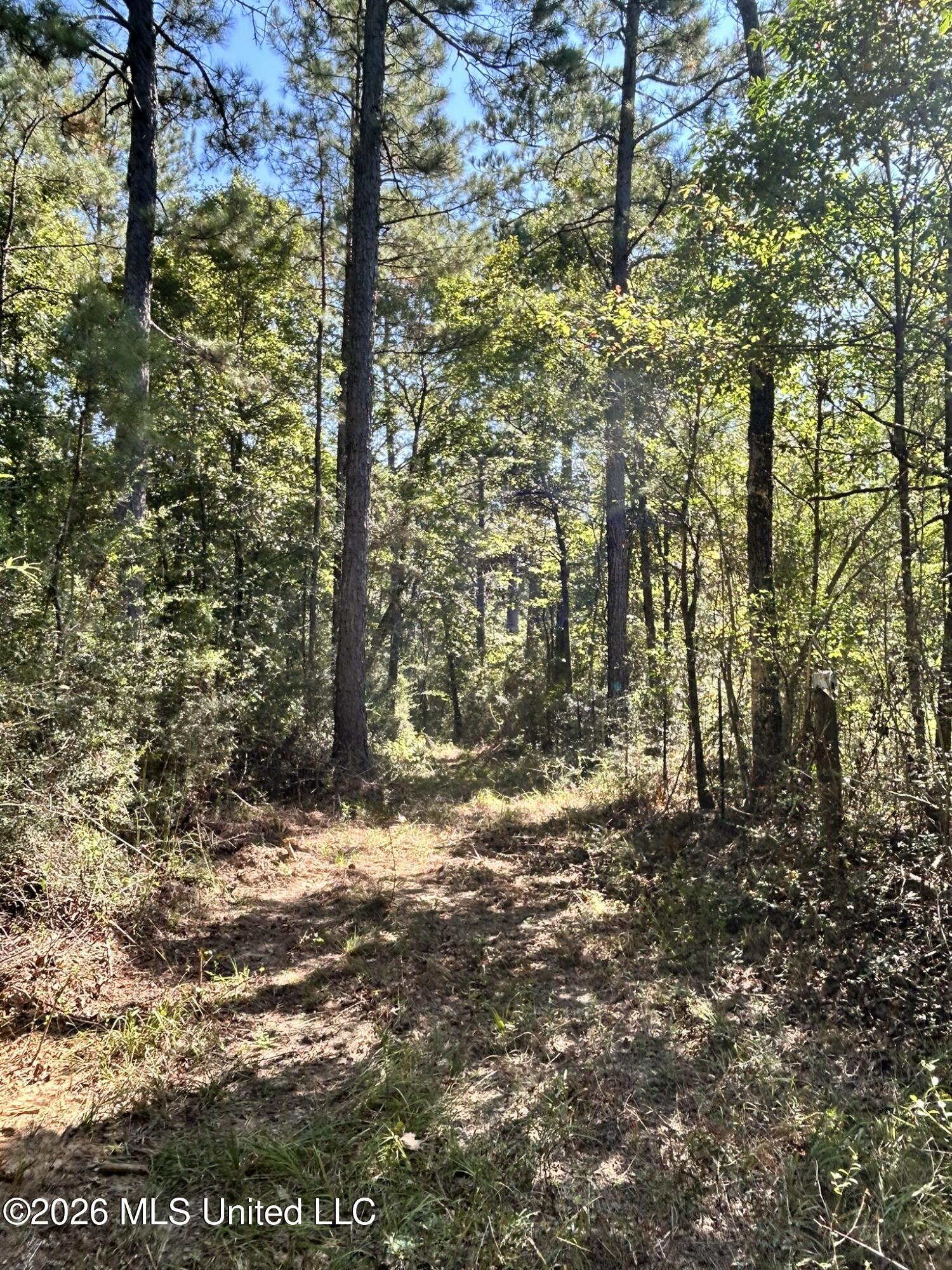 Dickey Mills Road Property Photo 41