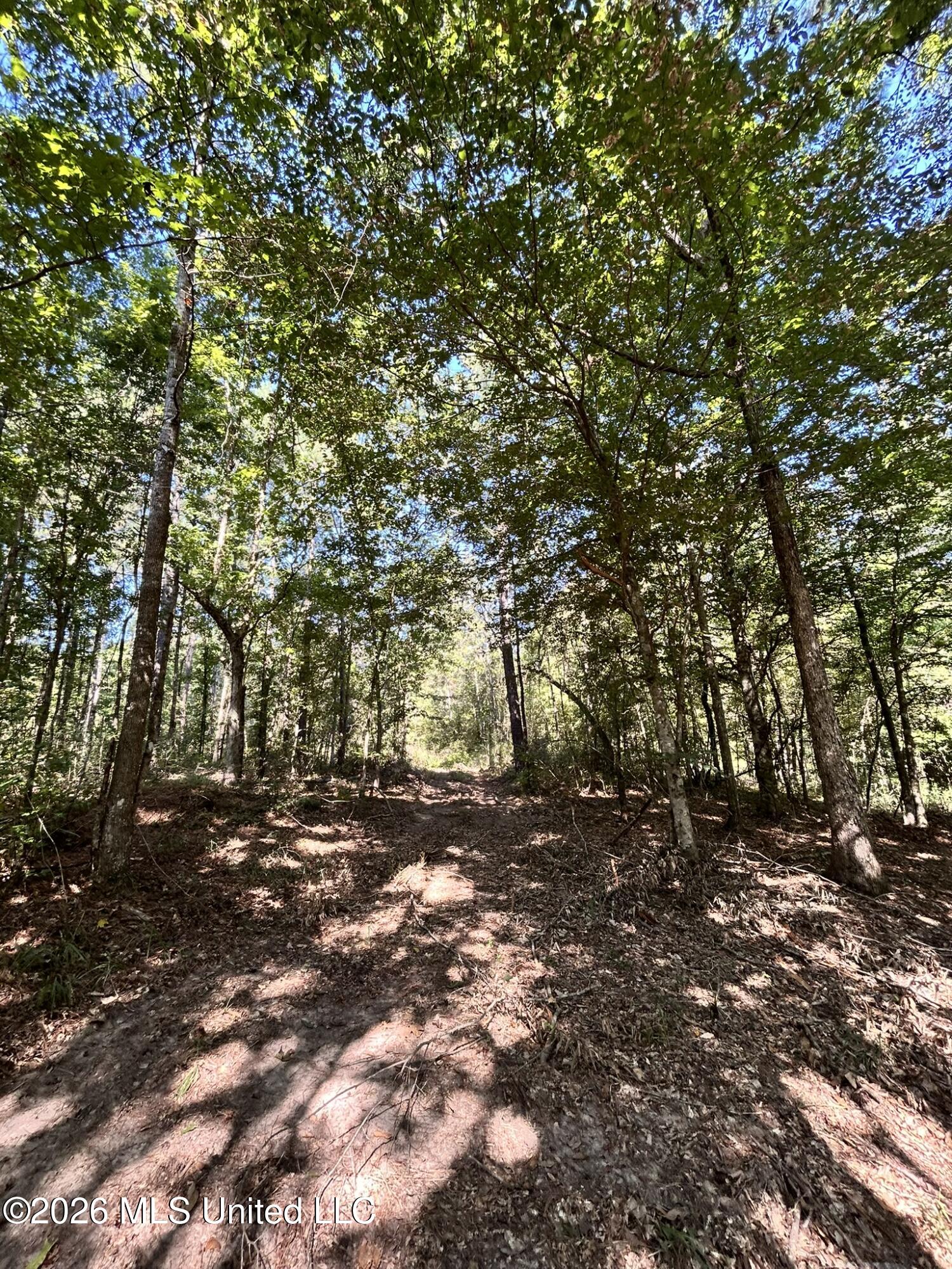 Dickey Mills Road Property Photo 42