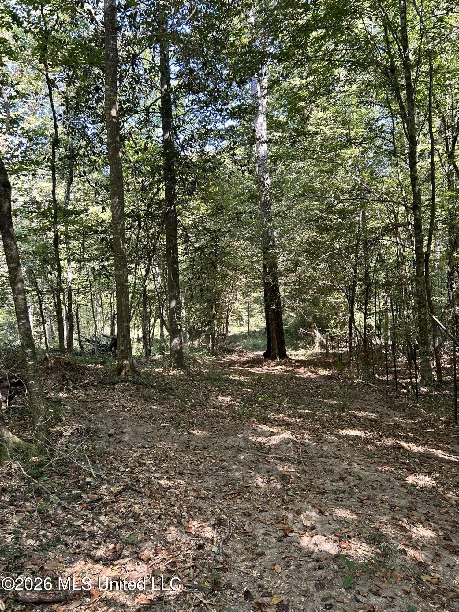 Dickey Mills Road Property Photo 43