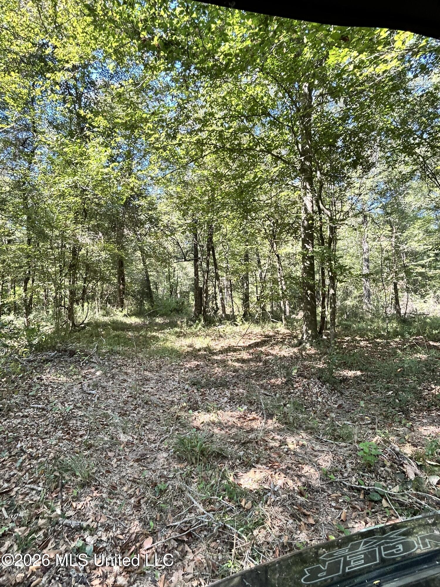 Dickey Mills Road Property Photo 45