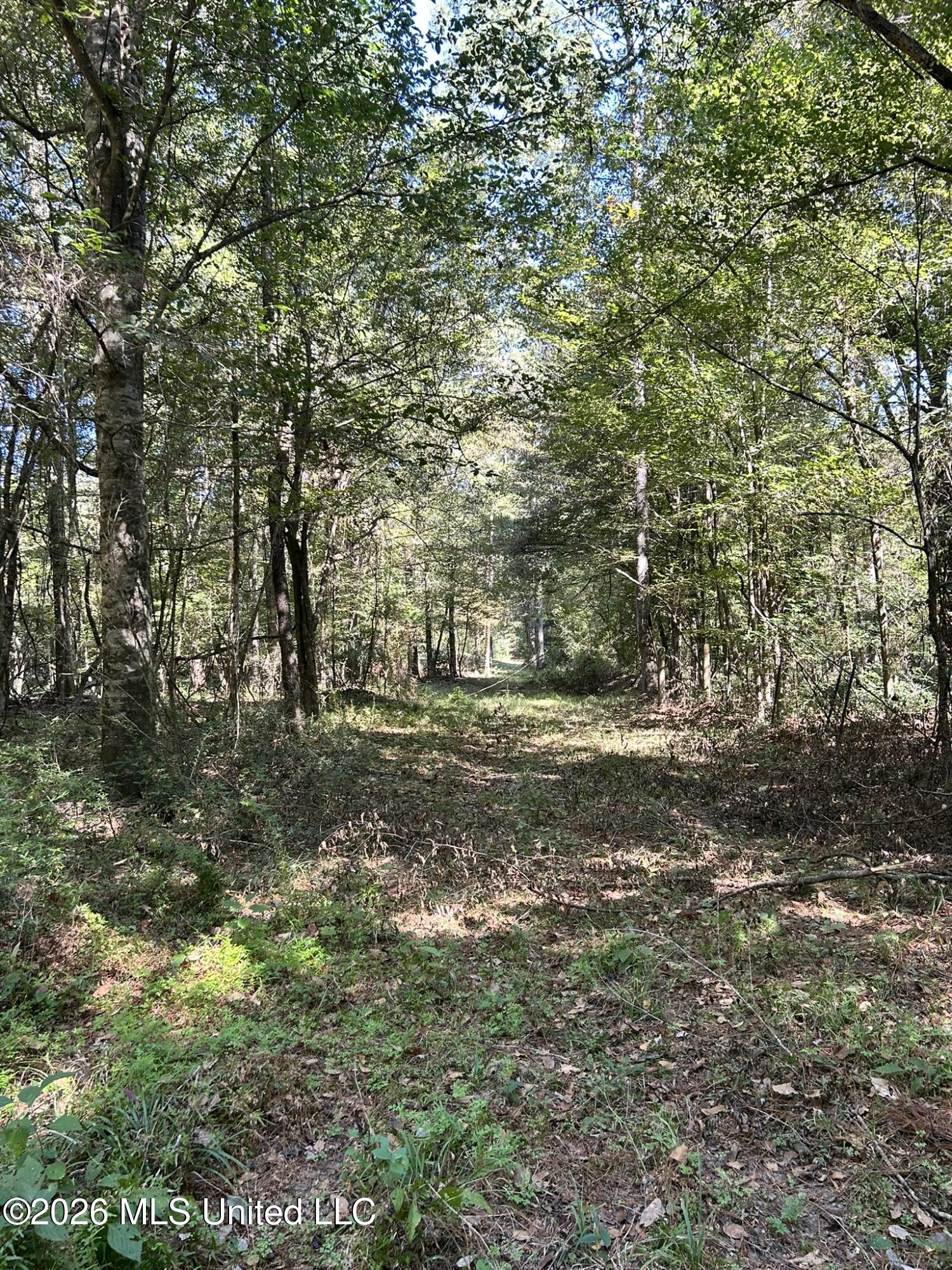 Dickey Mills Road Property Photo 46