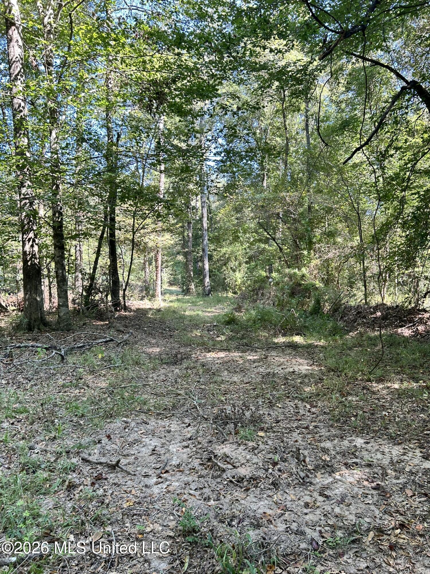 Dickey Mills Road Property Photo 47