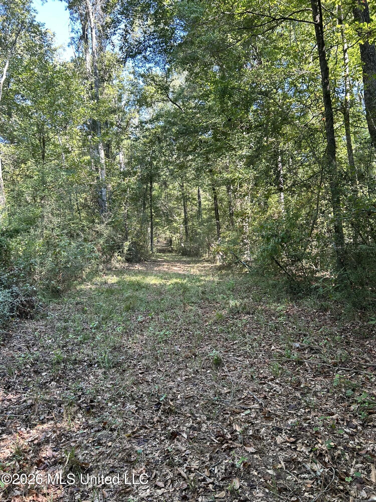 Dickey Mills Road Property Photo 48