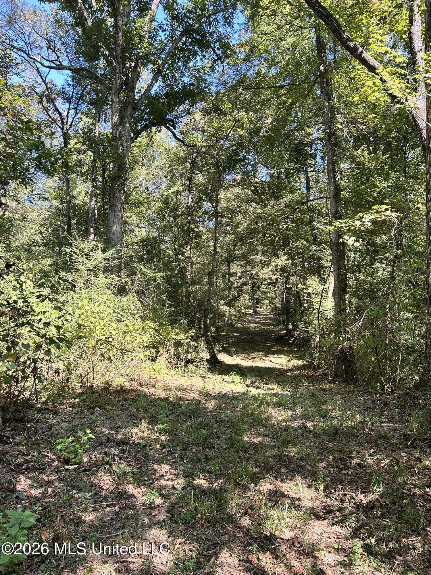 Dickey Mills Road Property Photo 49