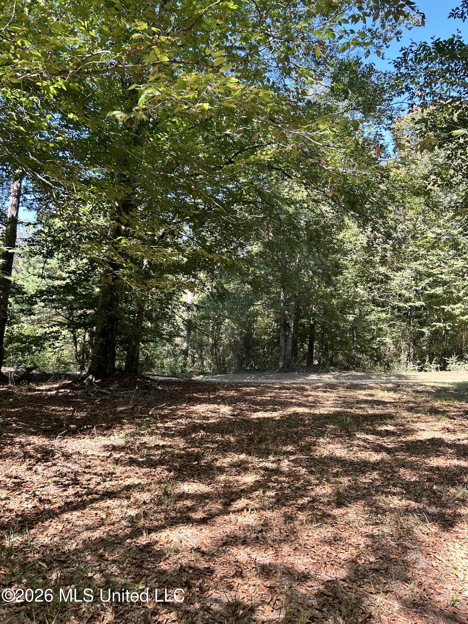 Dickey Mills Road Property Photo 50