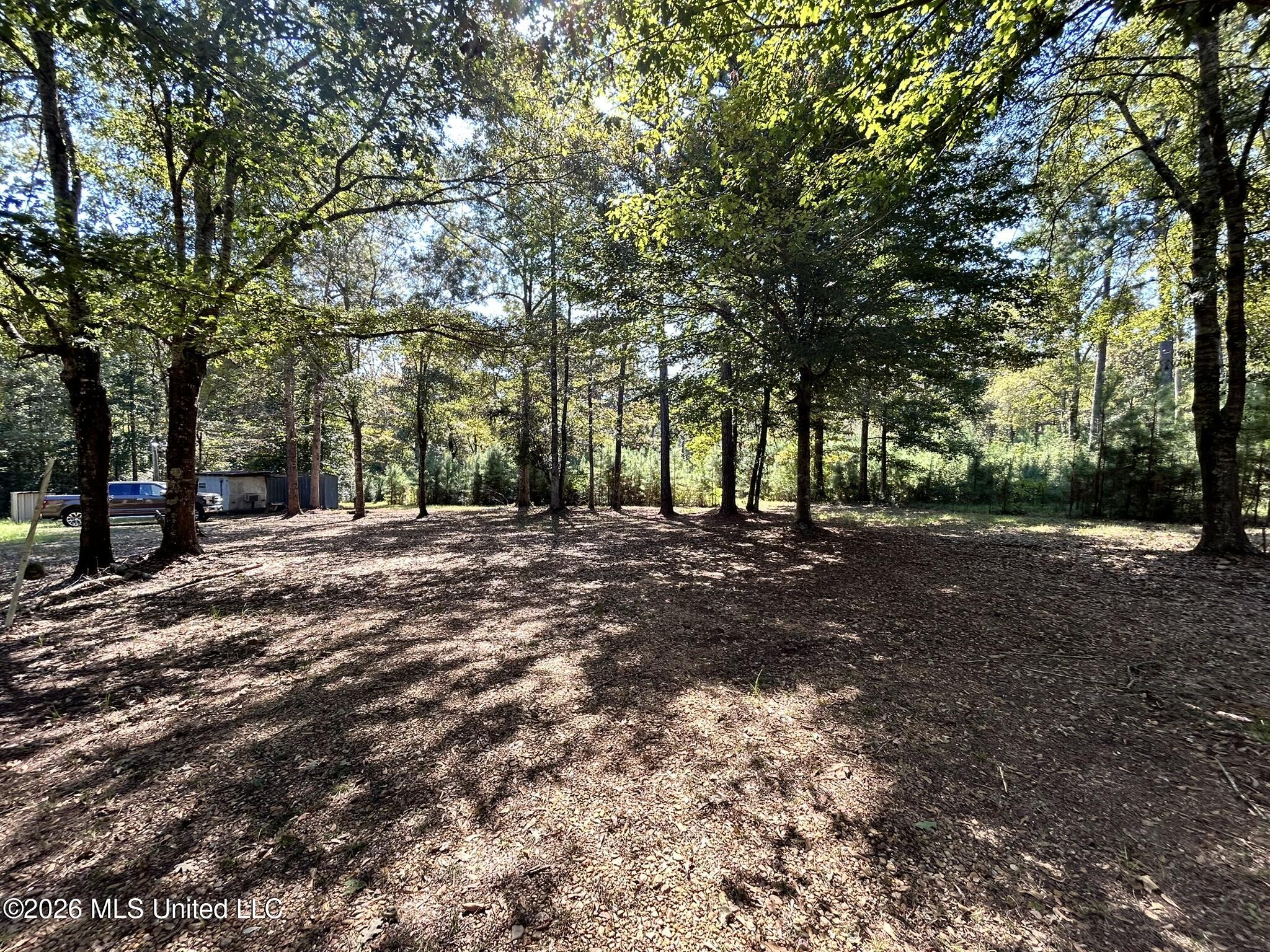 Dickey Mills Road Property Photo 55
