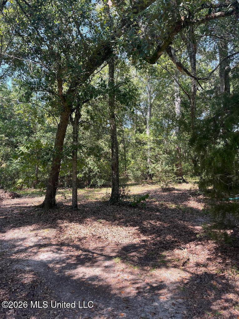 17241 Old Joe Moran Road Property Photo 1