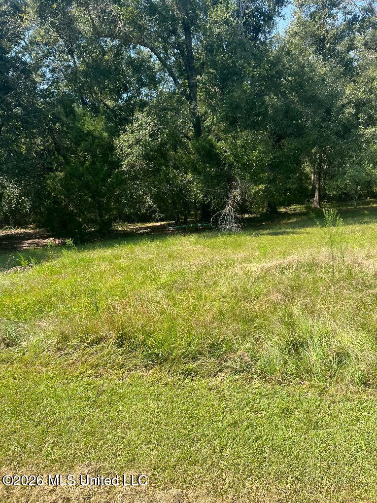 17241 Old Joe Moran Road Property Photo 2