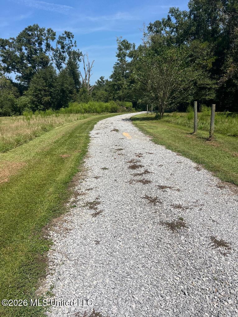 17241 Old Joe Moran Road Property Photo 3