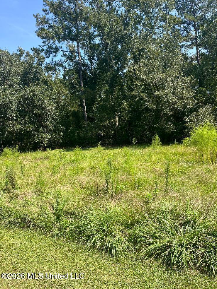 17241 Old Joe Moran Road Property Photo 5