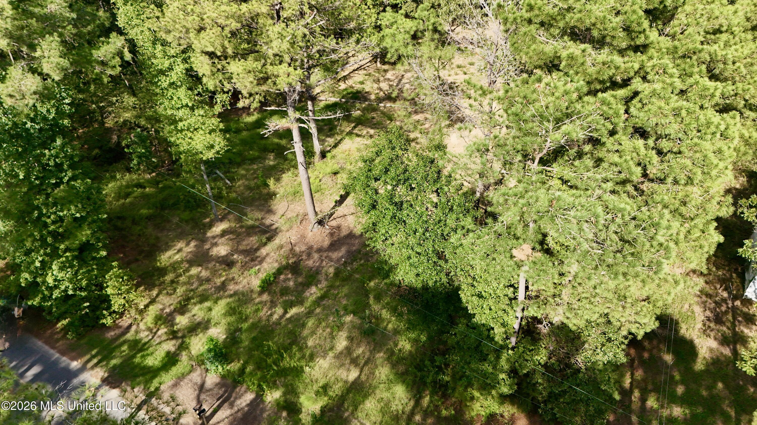 1245 John Warren Road Property Photo 54