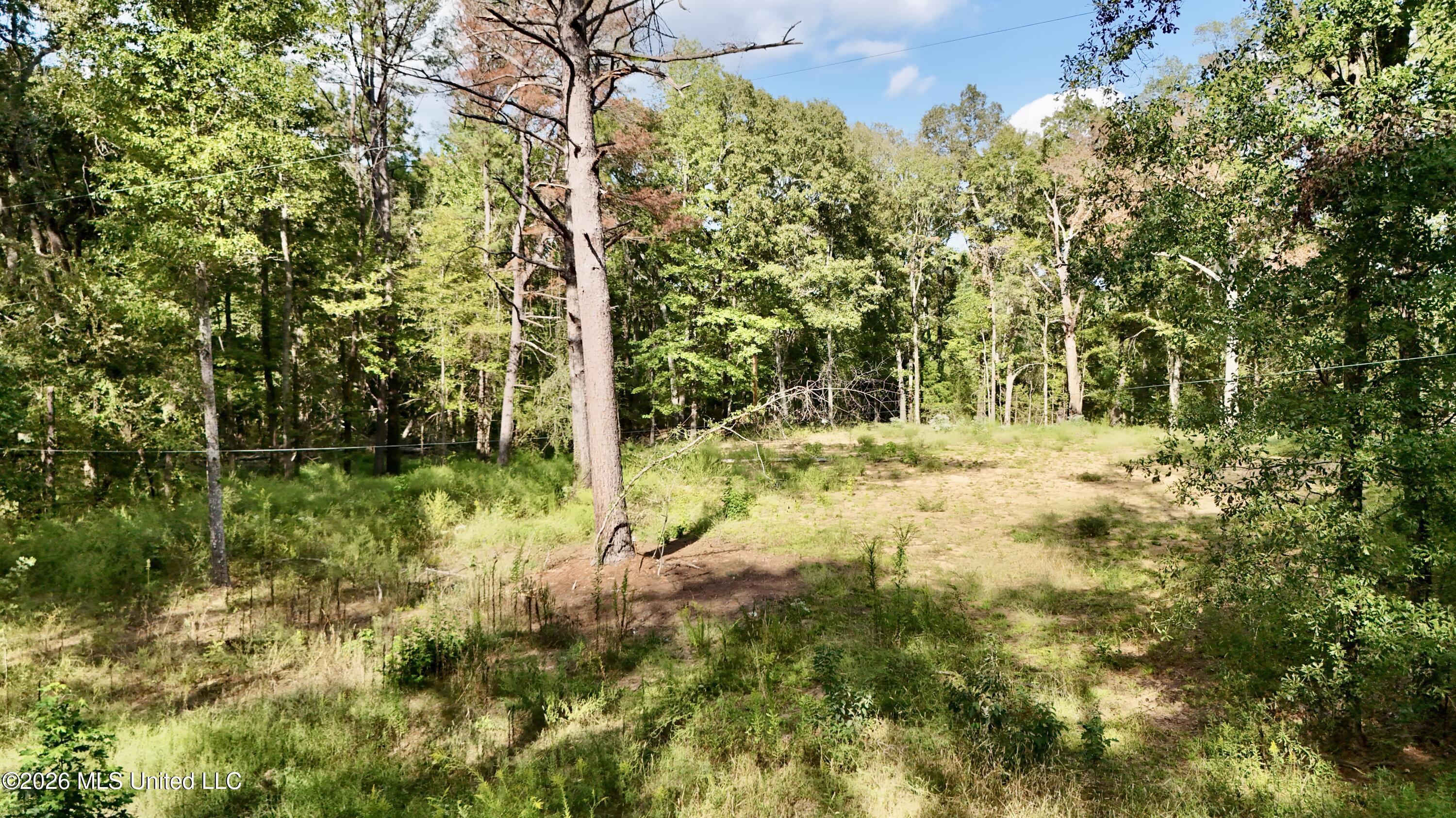 1245 John Warren Road Property Photo 55