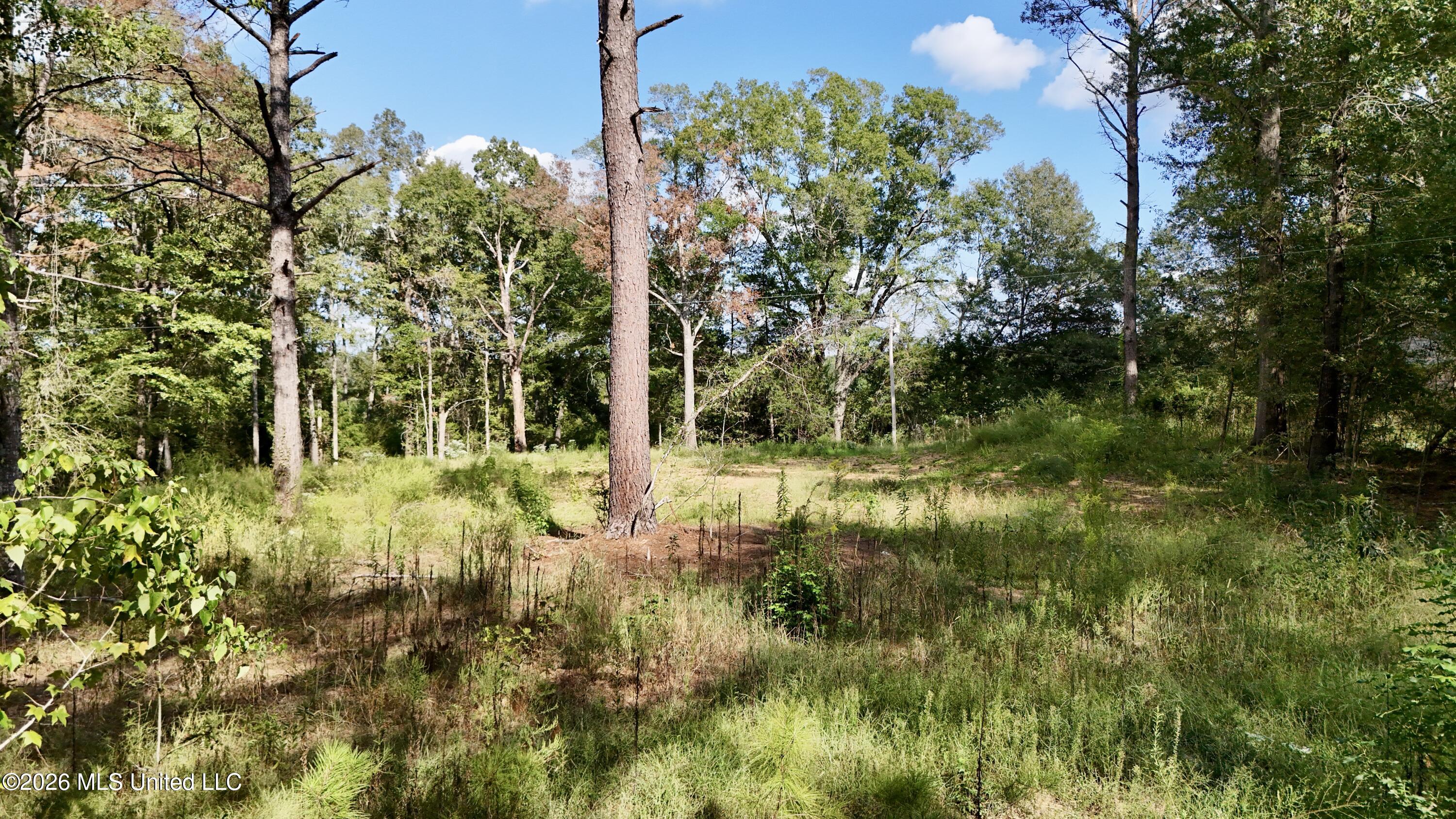 1245 John Warren Road Property Photo 56