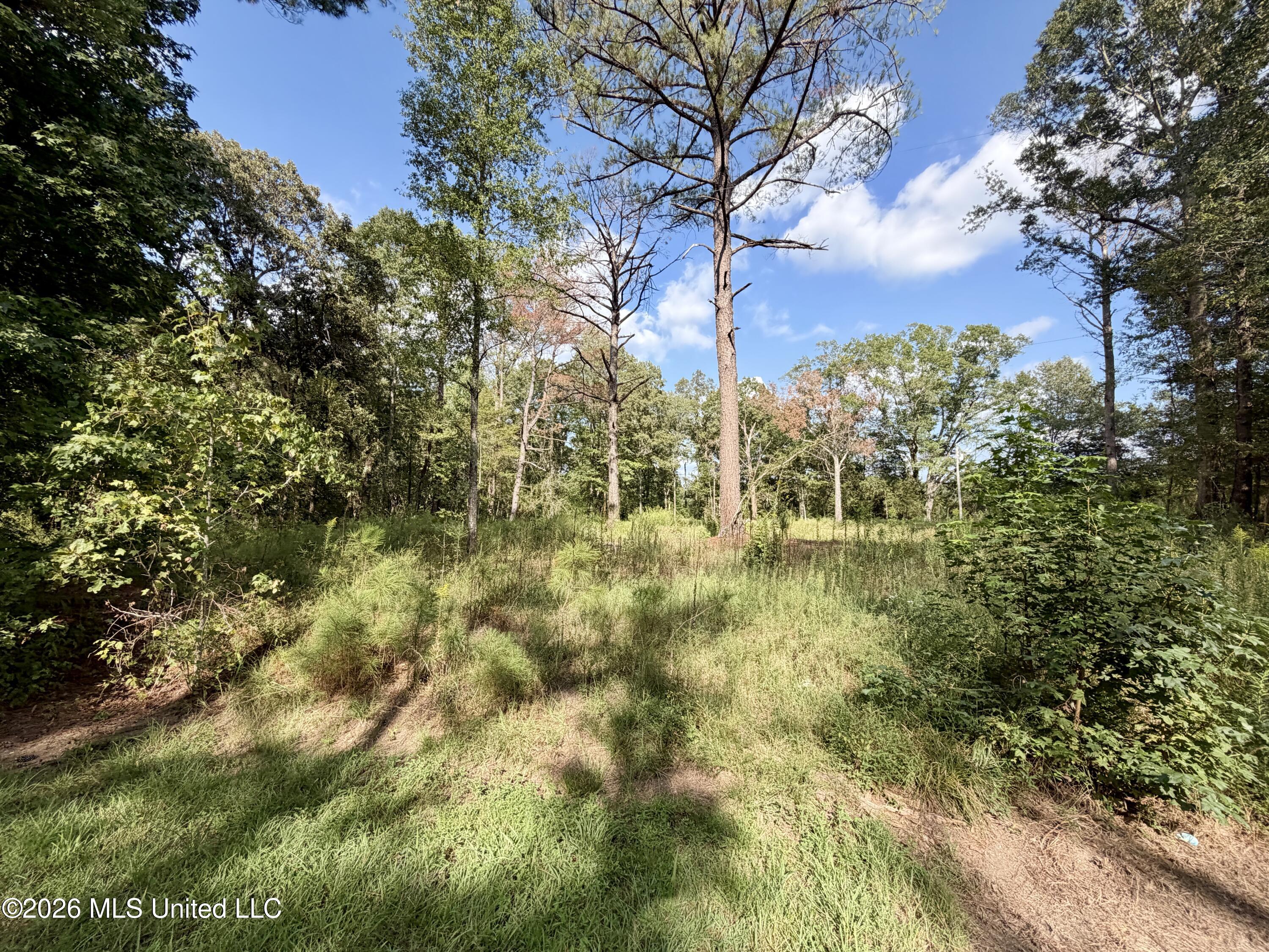 1245 John Warren Road Property Photo 57