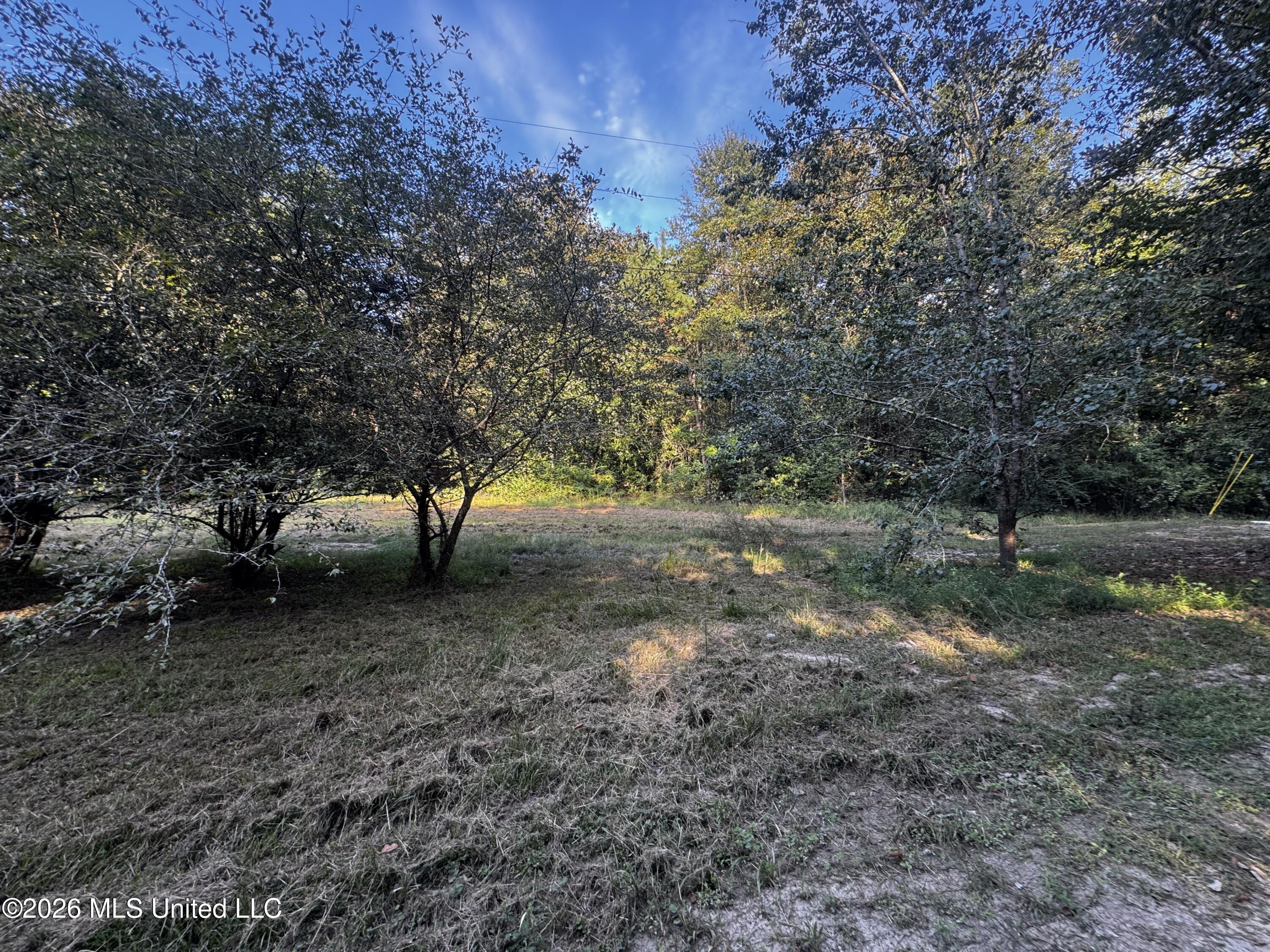 650 Liberty Road Property Photo 2