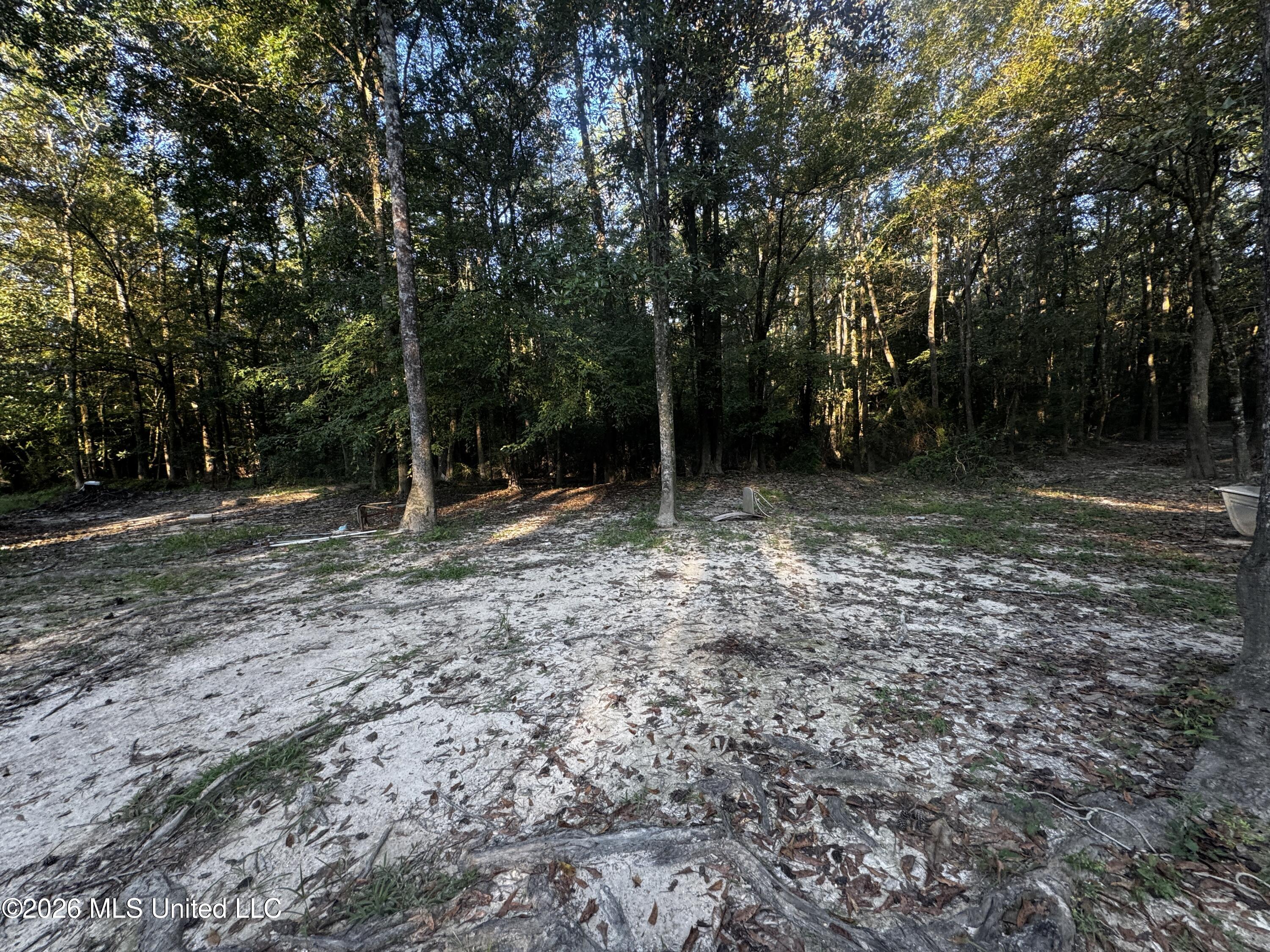650 Liberty Road Property Photo 4