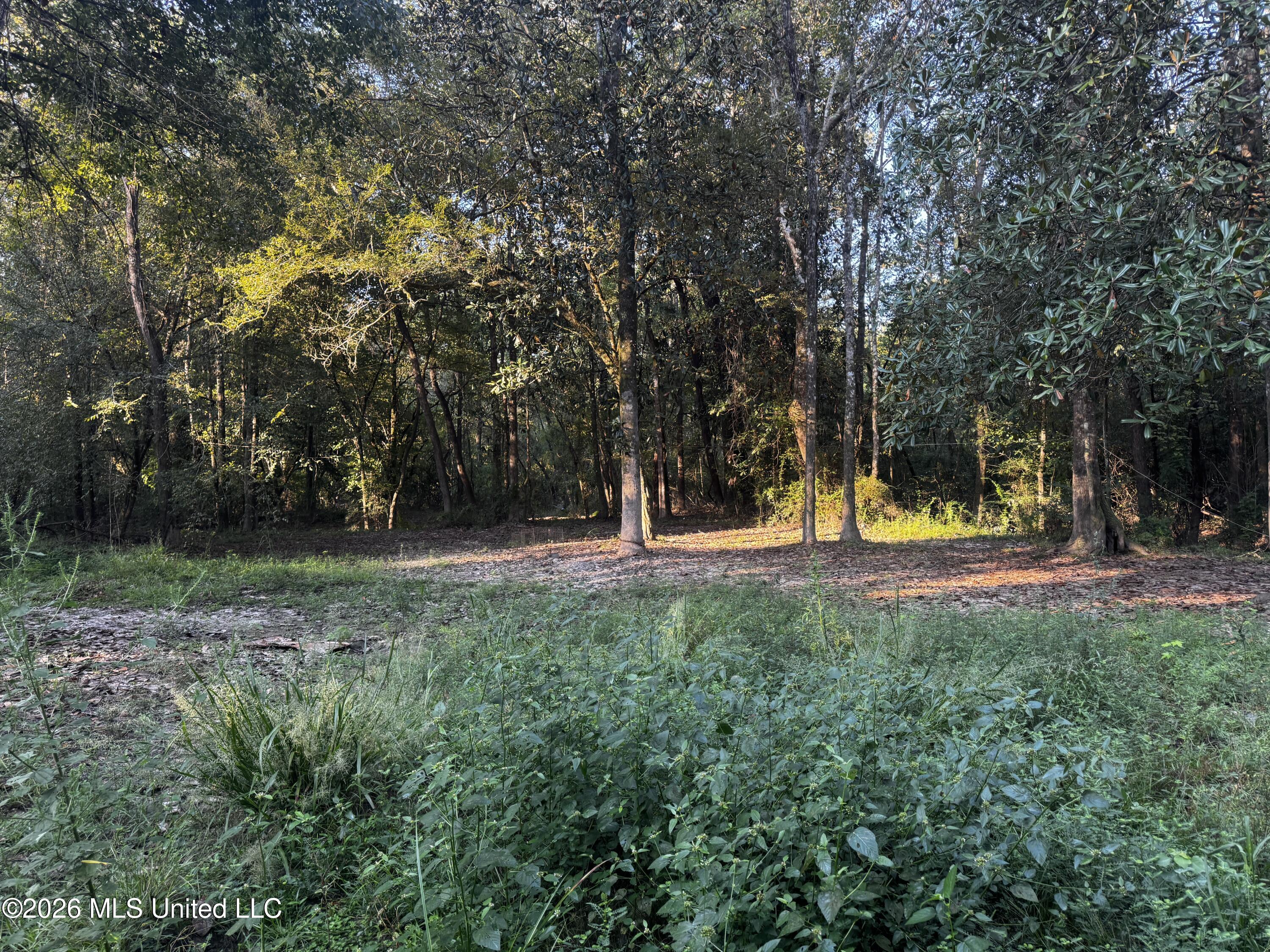 650 Liberty Road Property Photo 5