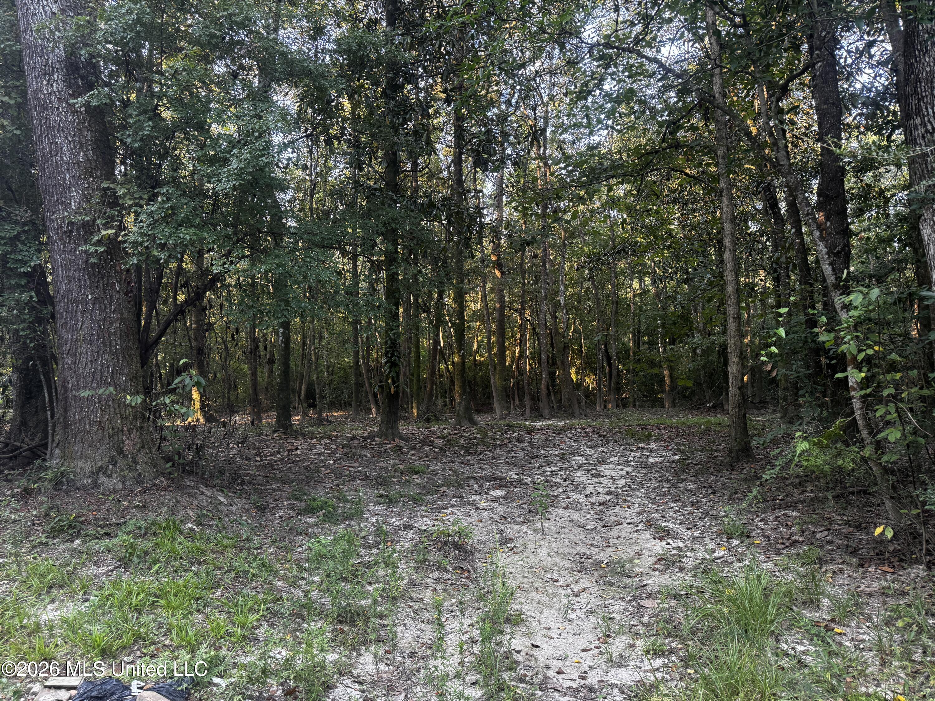 650 Liberty Road Property Photo 7