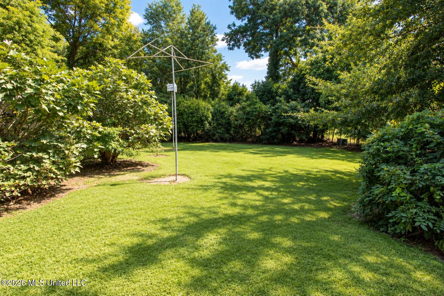 1316 Calhoun Property Photo 9