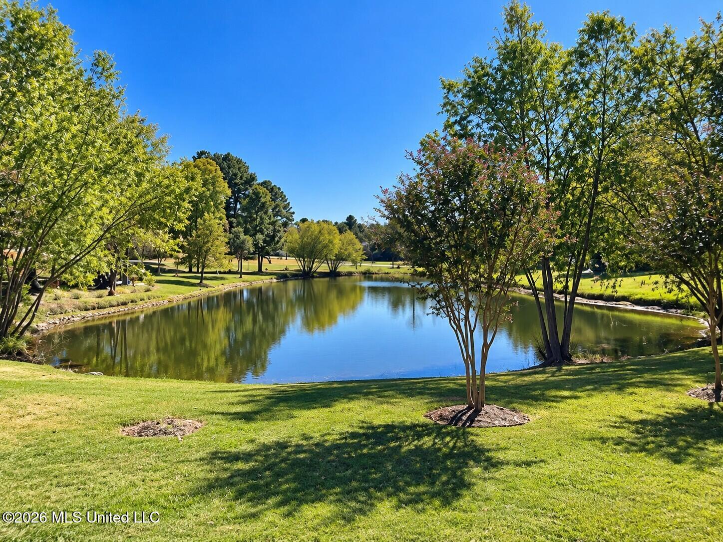 12520 Whispering Pines Drive Property Photo 31