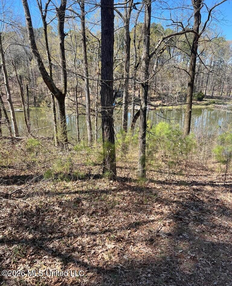 12 Boka Cove Property Photo 2