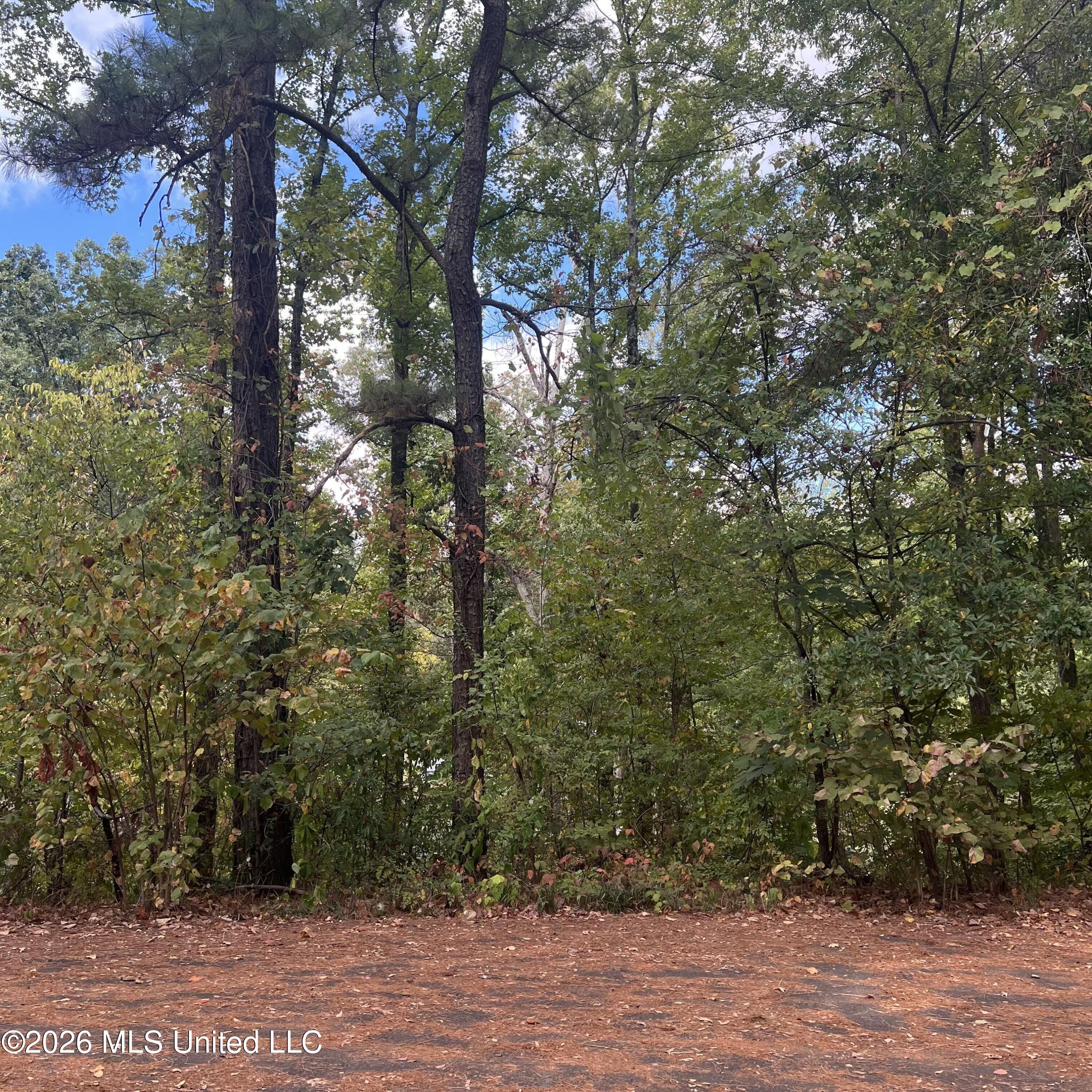 12 Boka Cove Property Photo 15