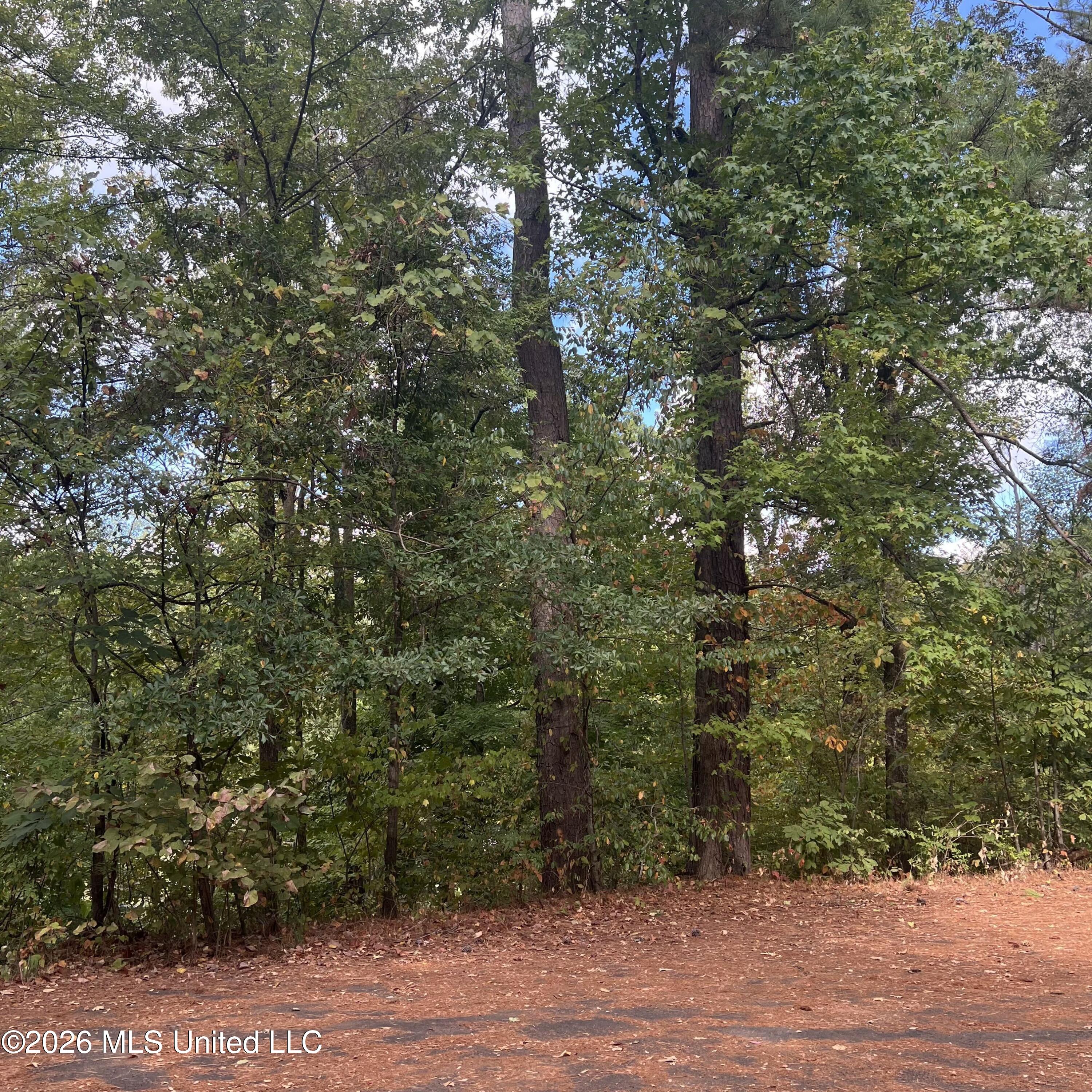 12 Boka Cove Property Photo 16