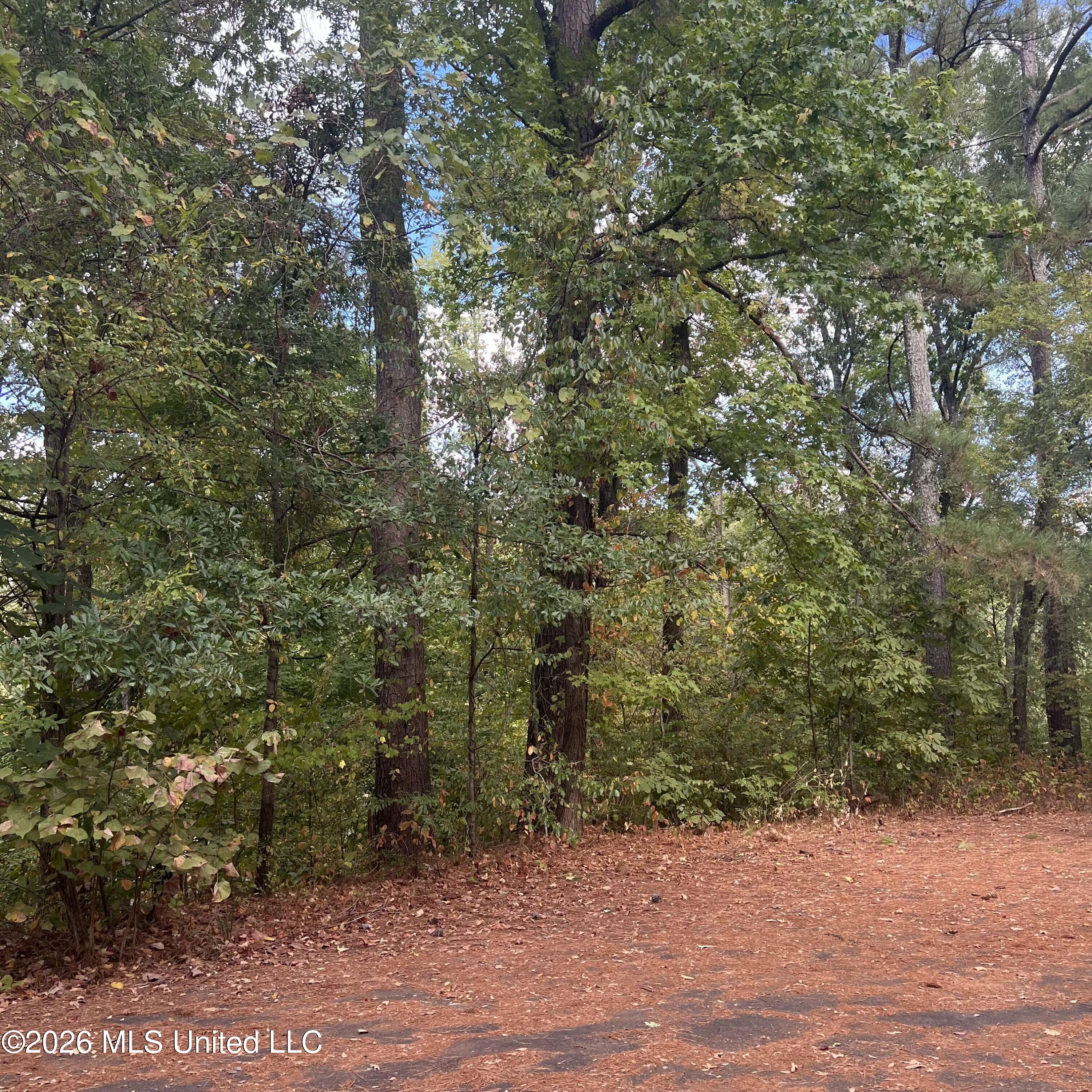 12 Boka Cove Property Photo 17