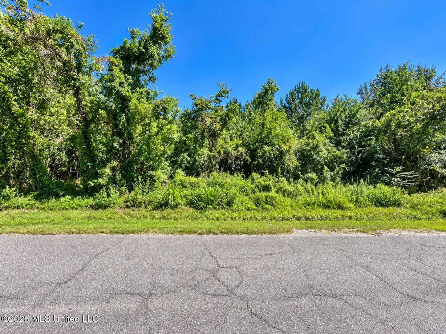 5236 Forrest Avenue Property Photo 1