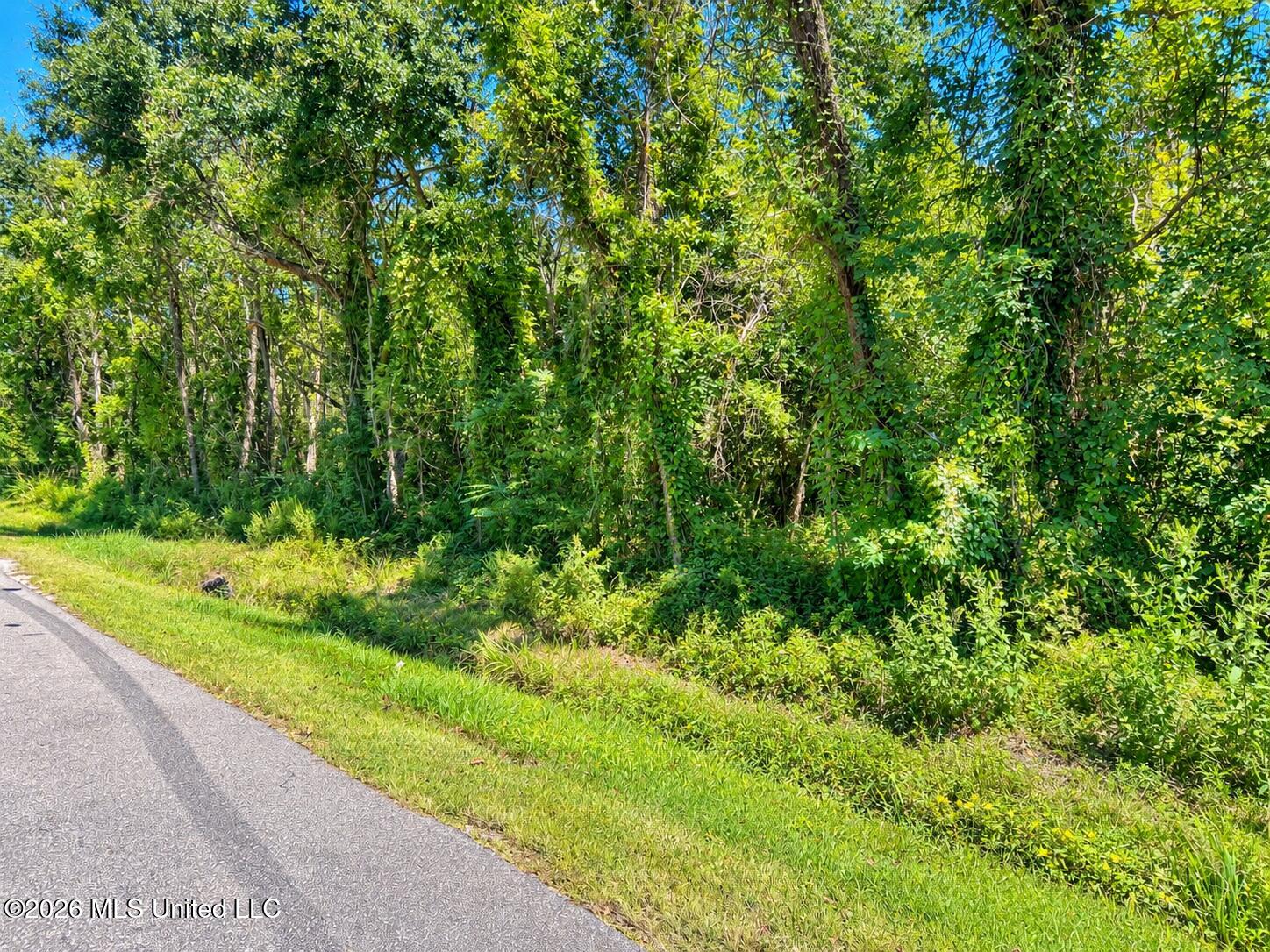 5236 Forrest Avenue Property Photo 3
