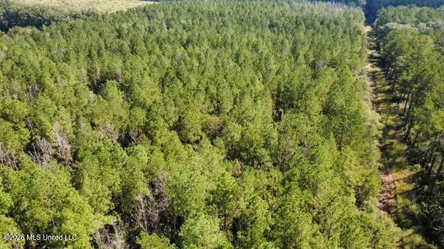 5464c Pecan Orchard Road Property Photo 10