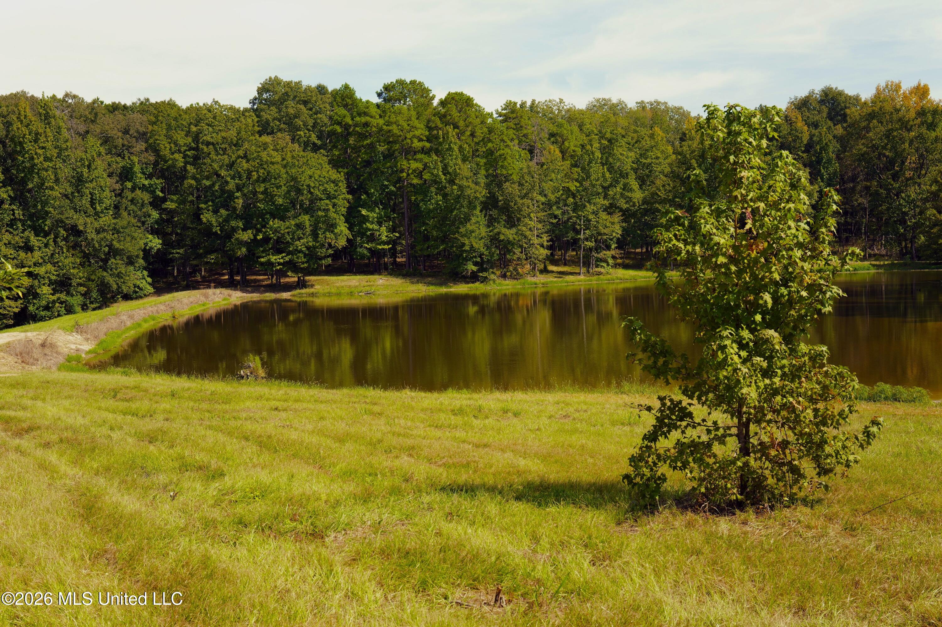 00 Ratliff Rd Road Property Photo 1