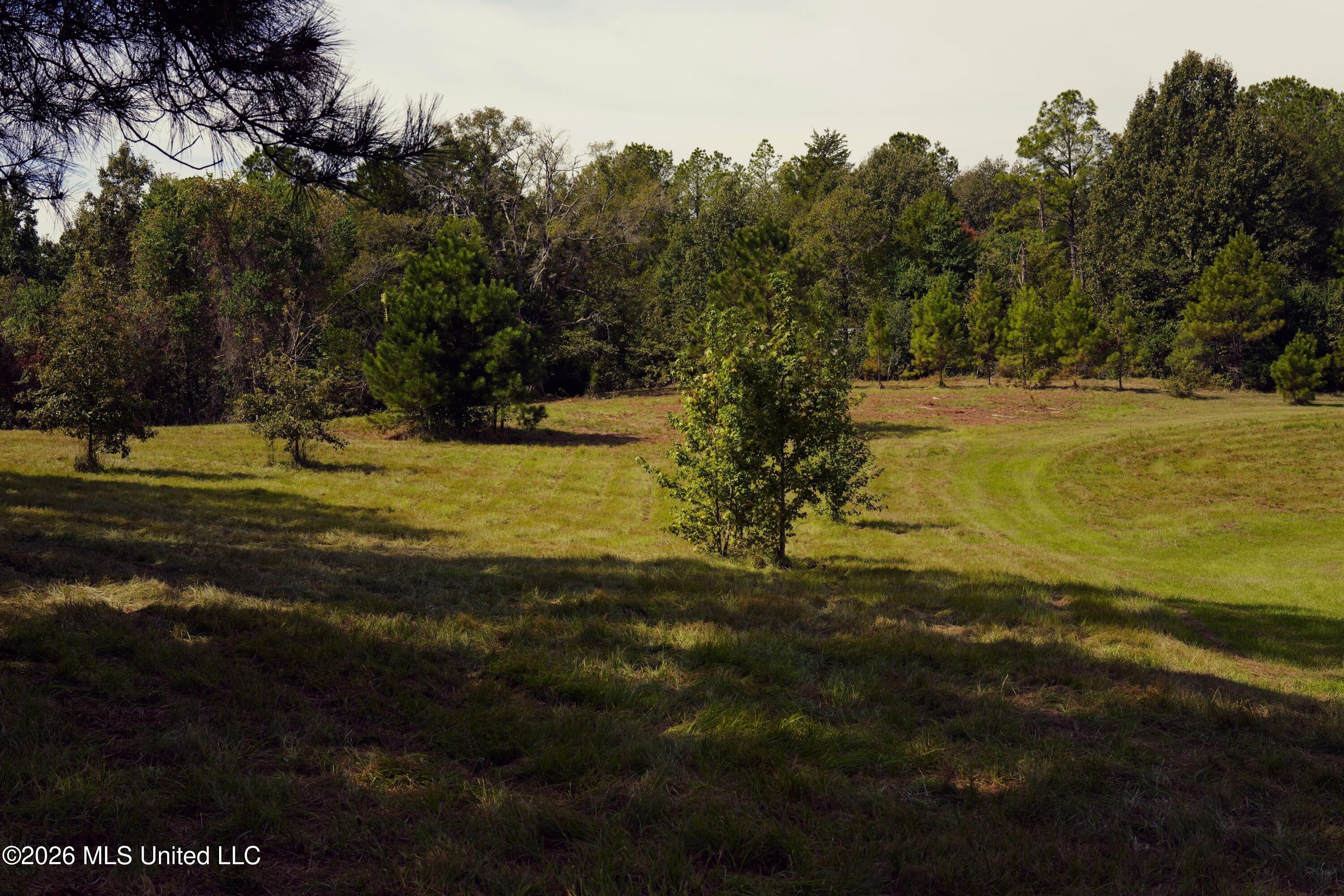00 Ratliff Rd Road Property Photo 3